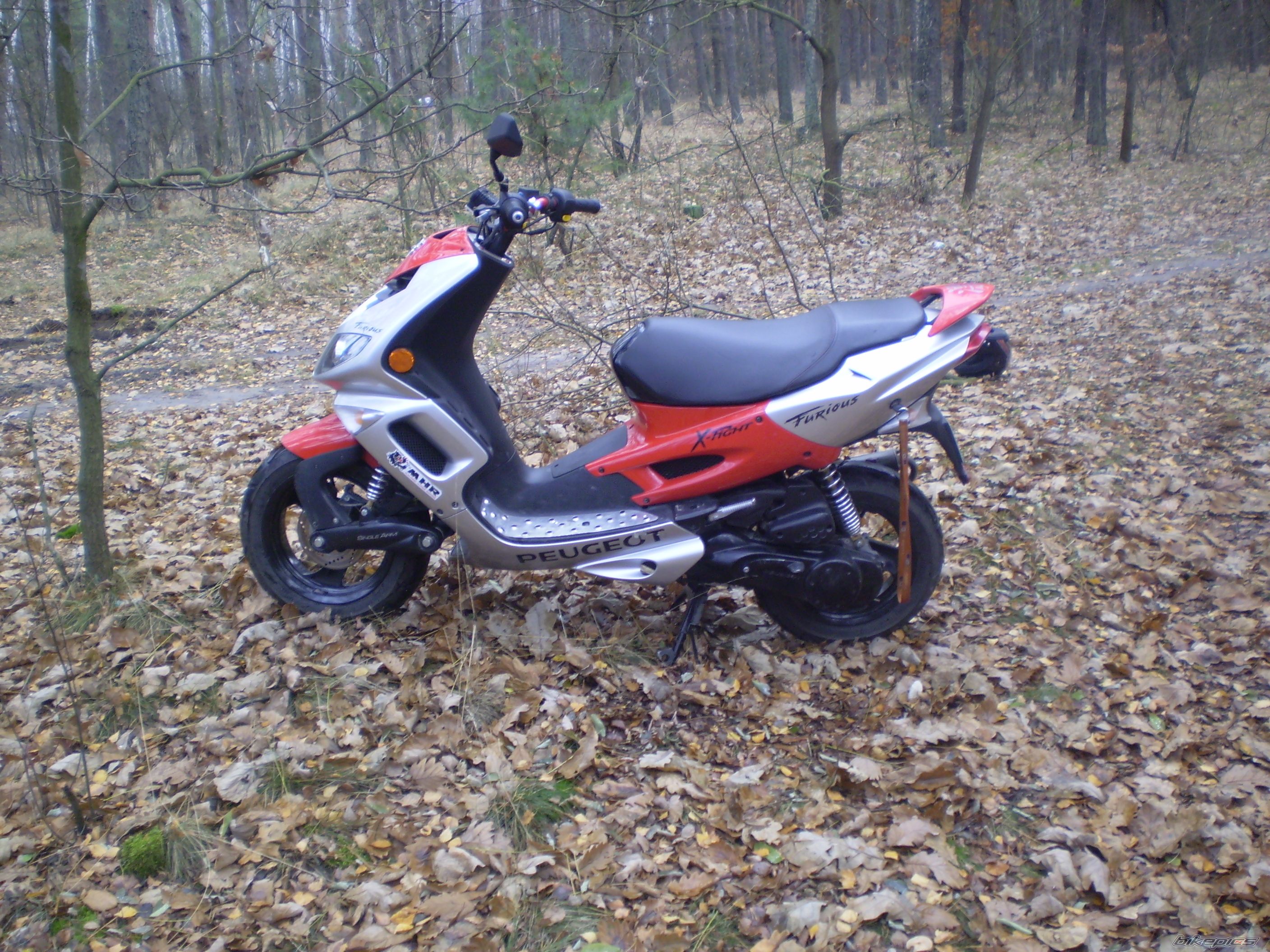 Photo 1081273
