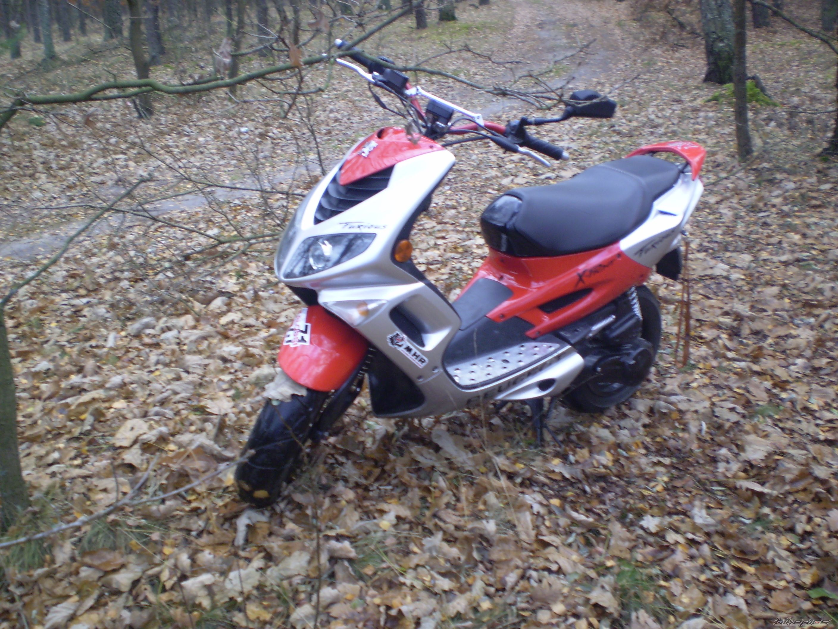 Photo 1081278