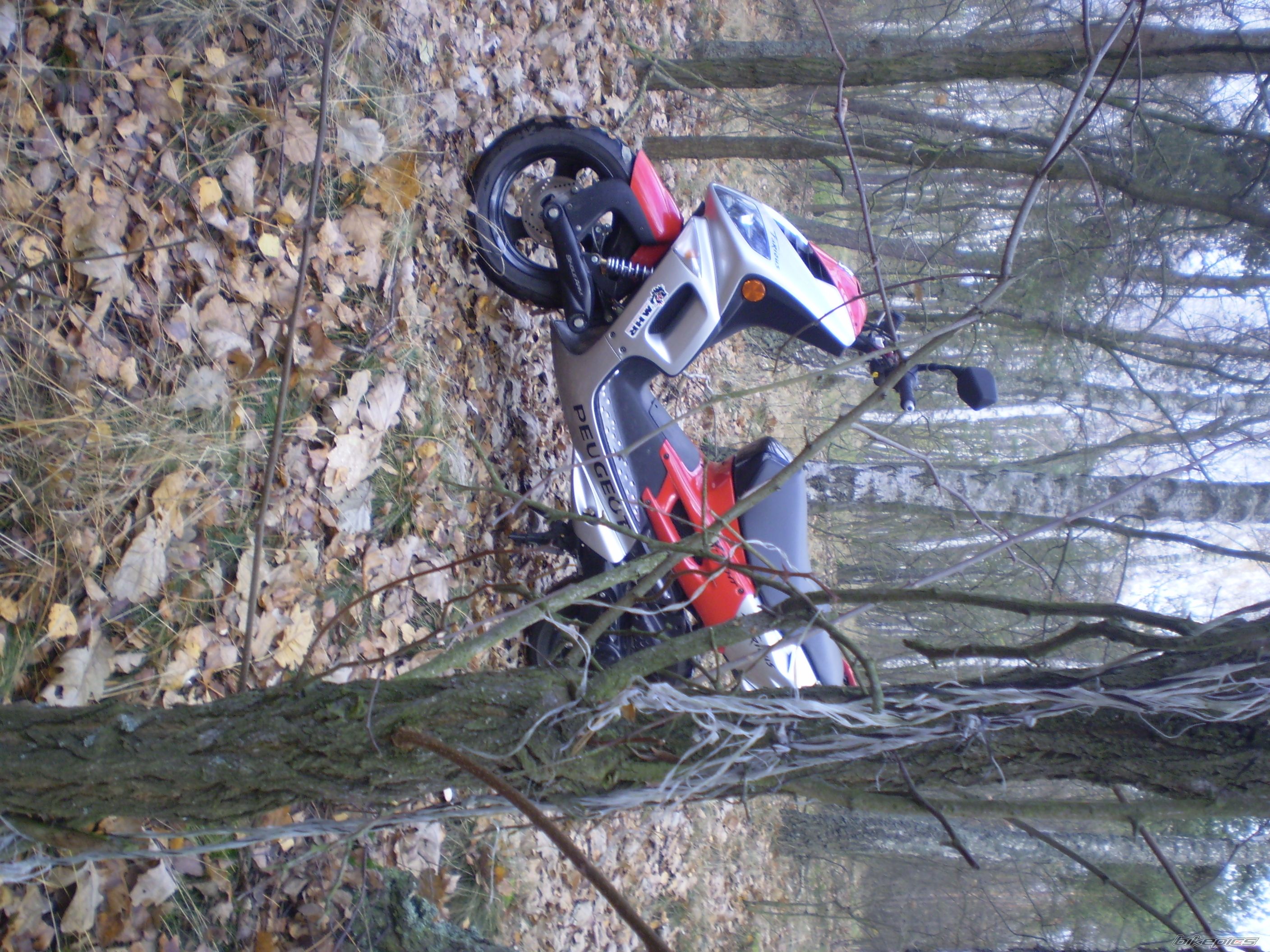 Photo 1081293