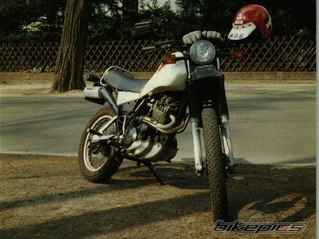 Photo 1081526