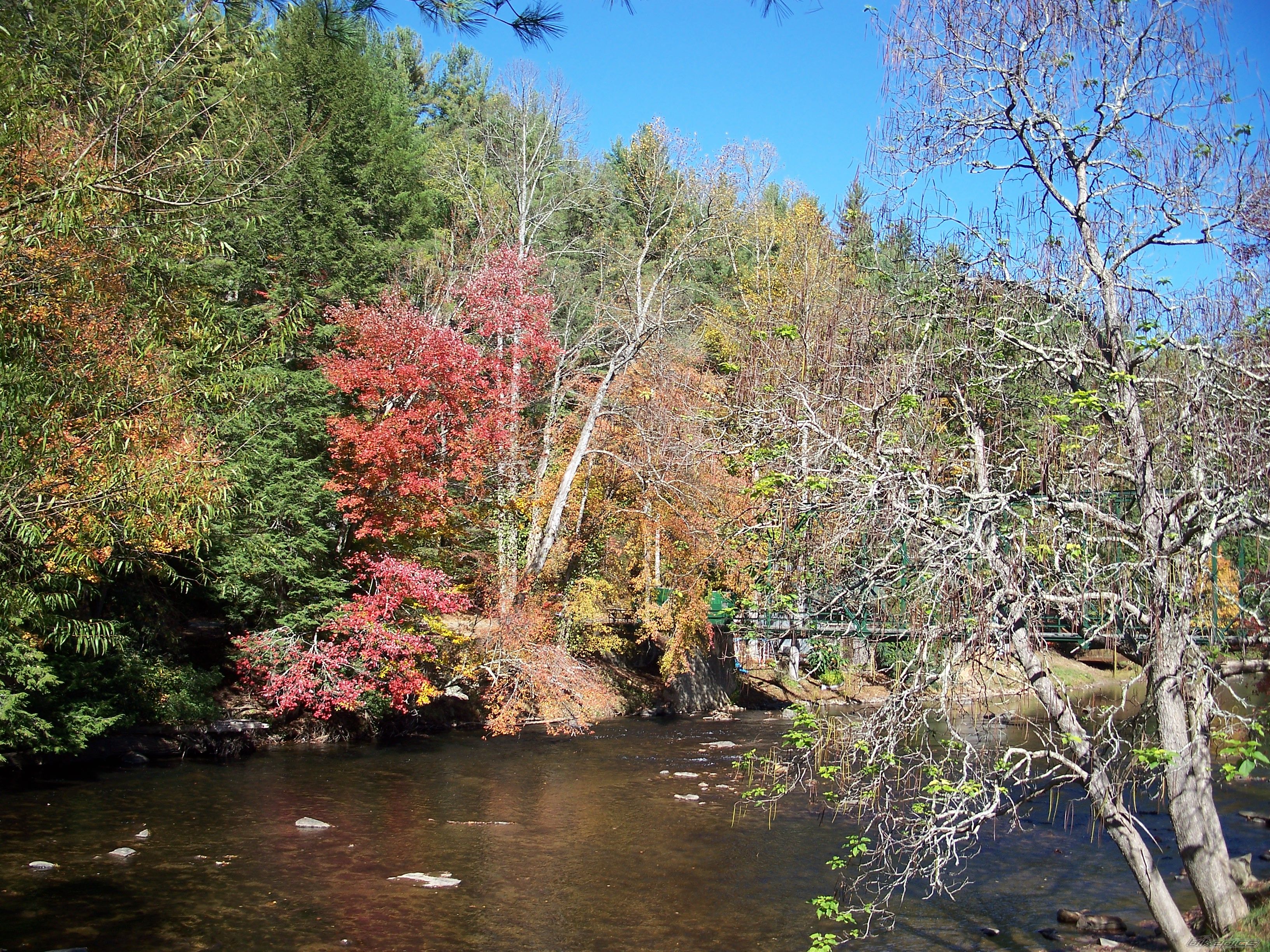 Photo 1081620