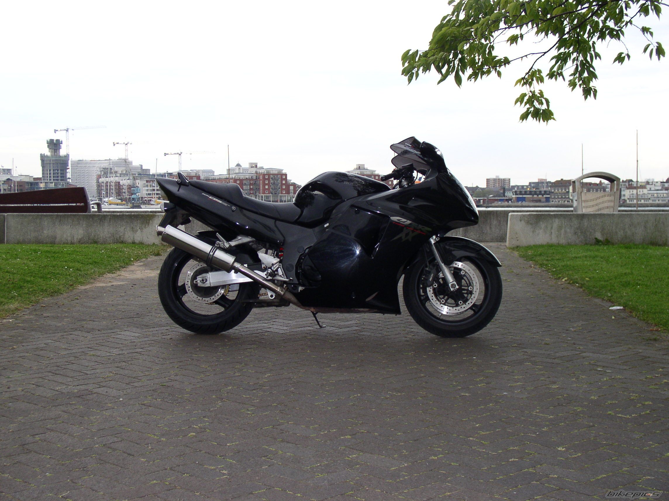Photo 1081931