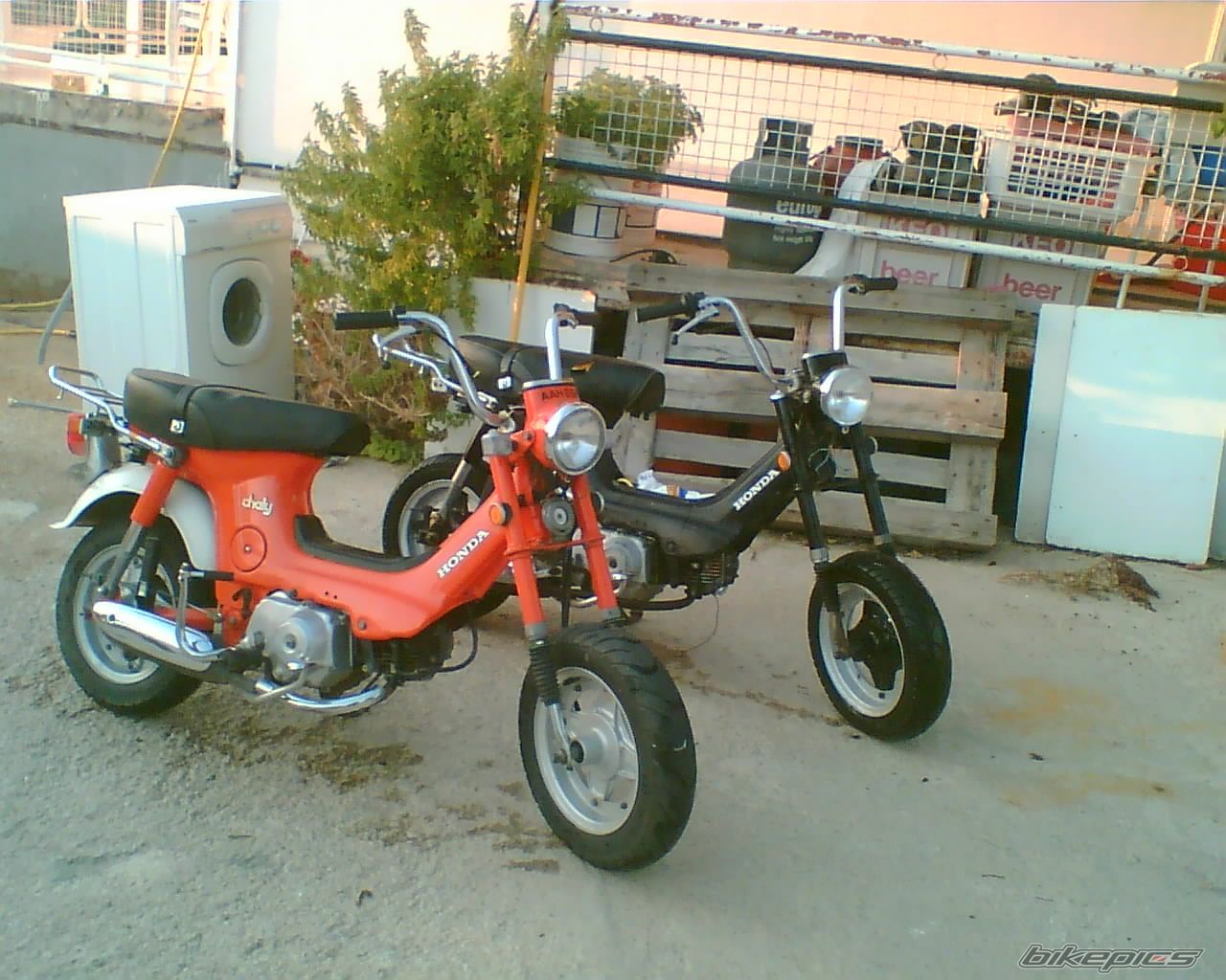 Bike Photo 1081967
