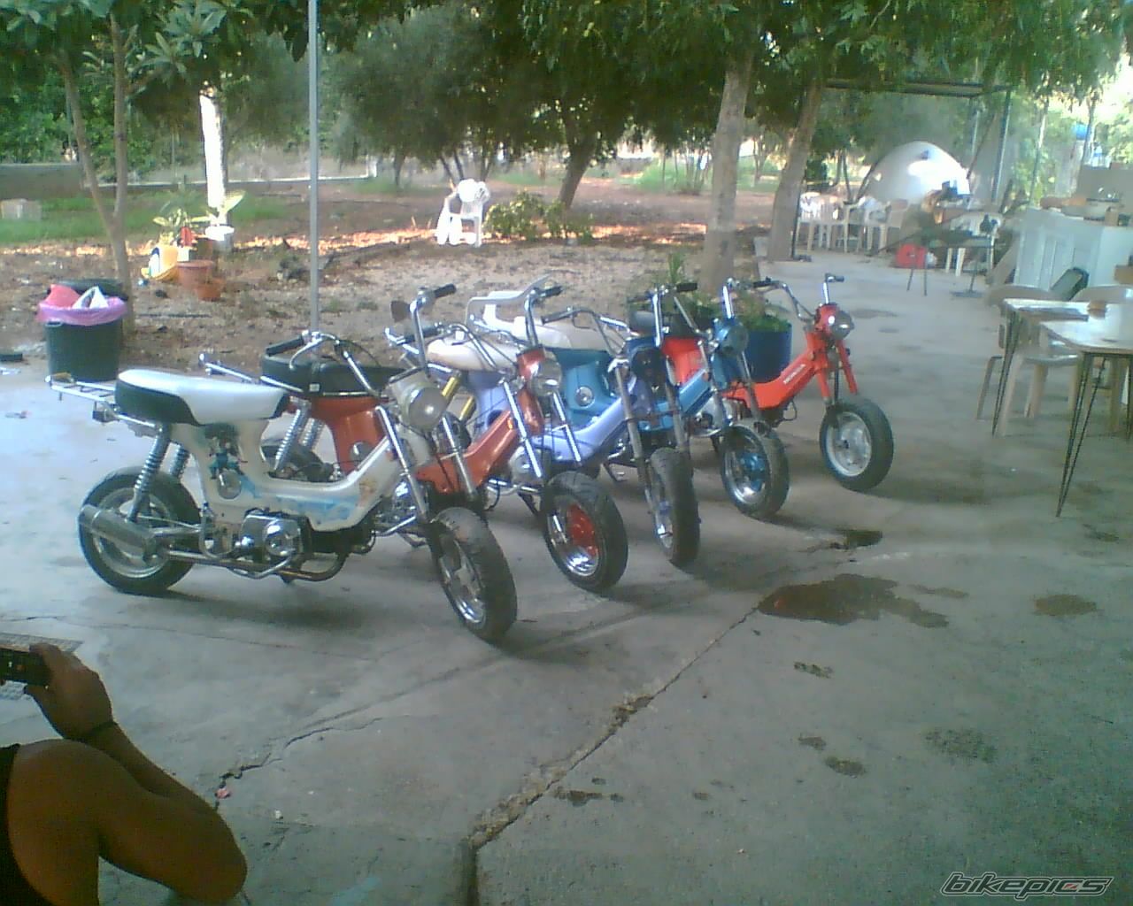 Bike Photo 1081969