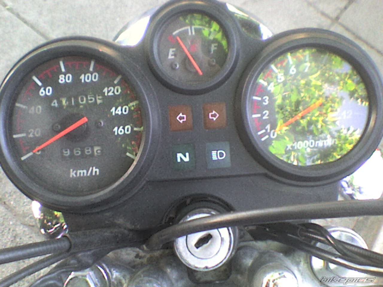 Photo 1082254