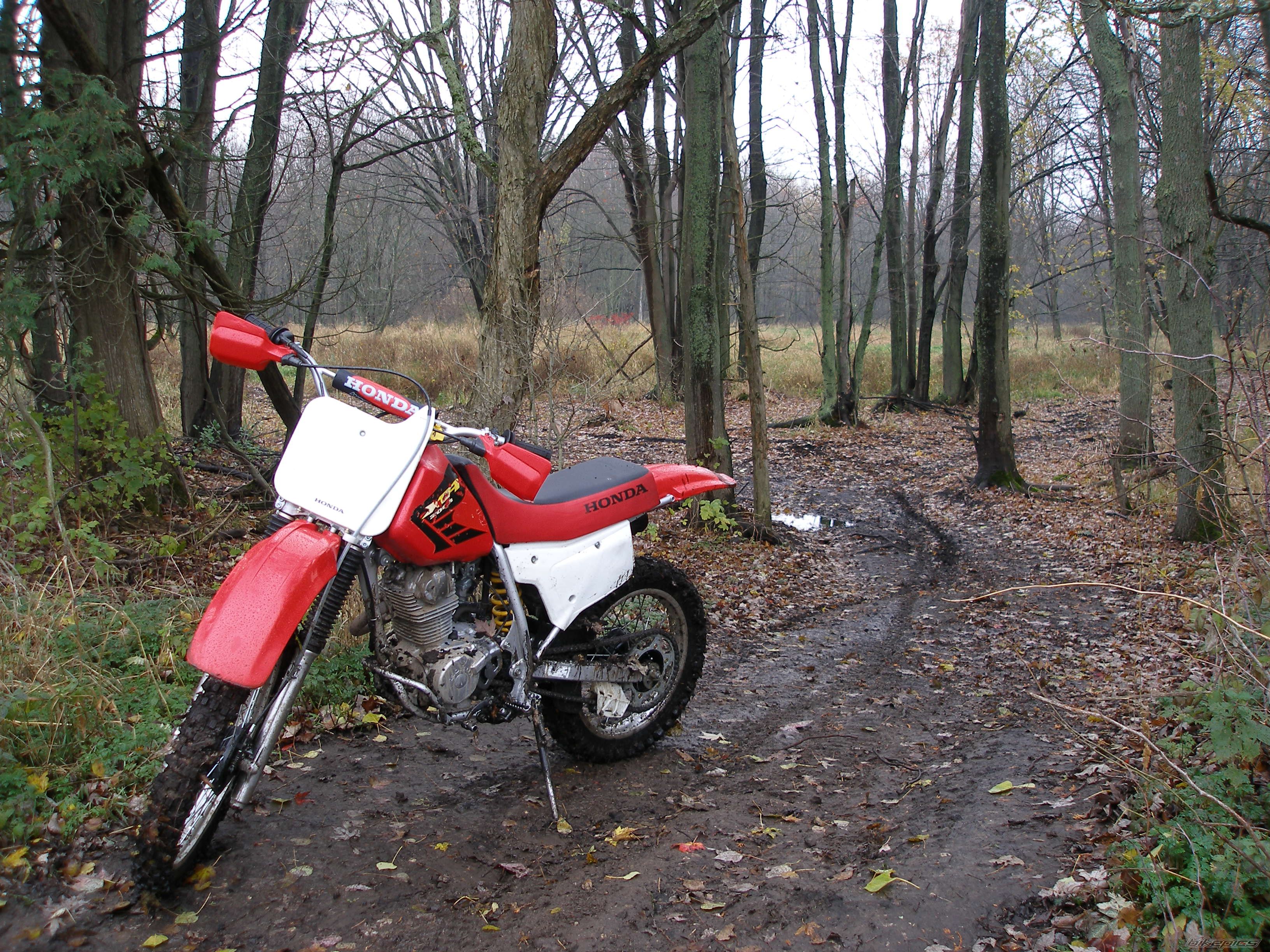 Photo 1082455