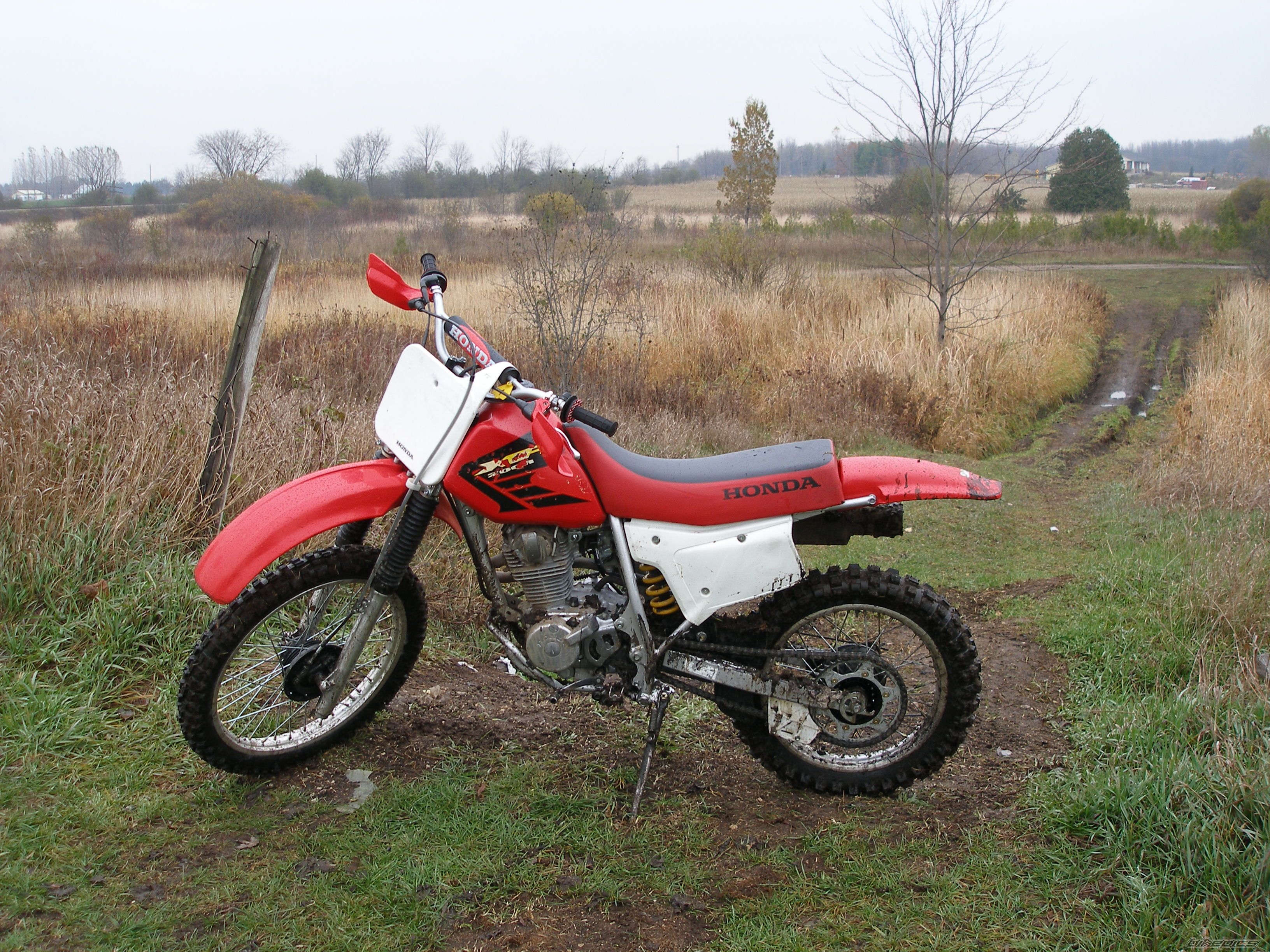 Photo 1082456
