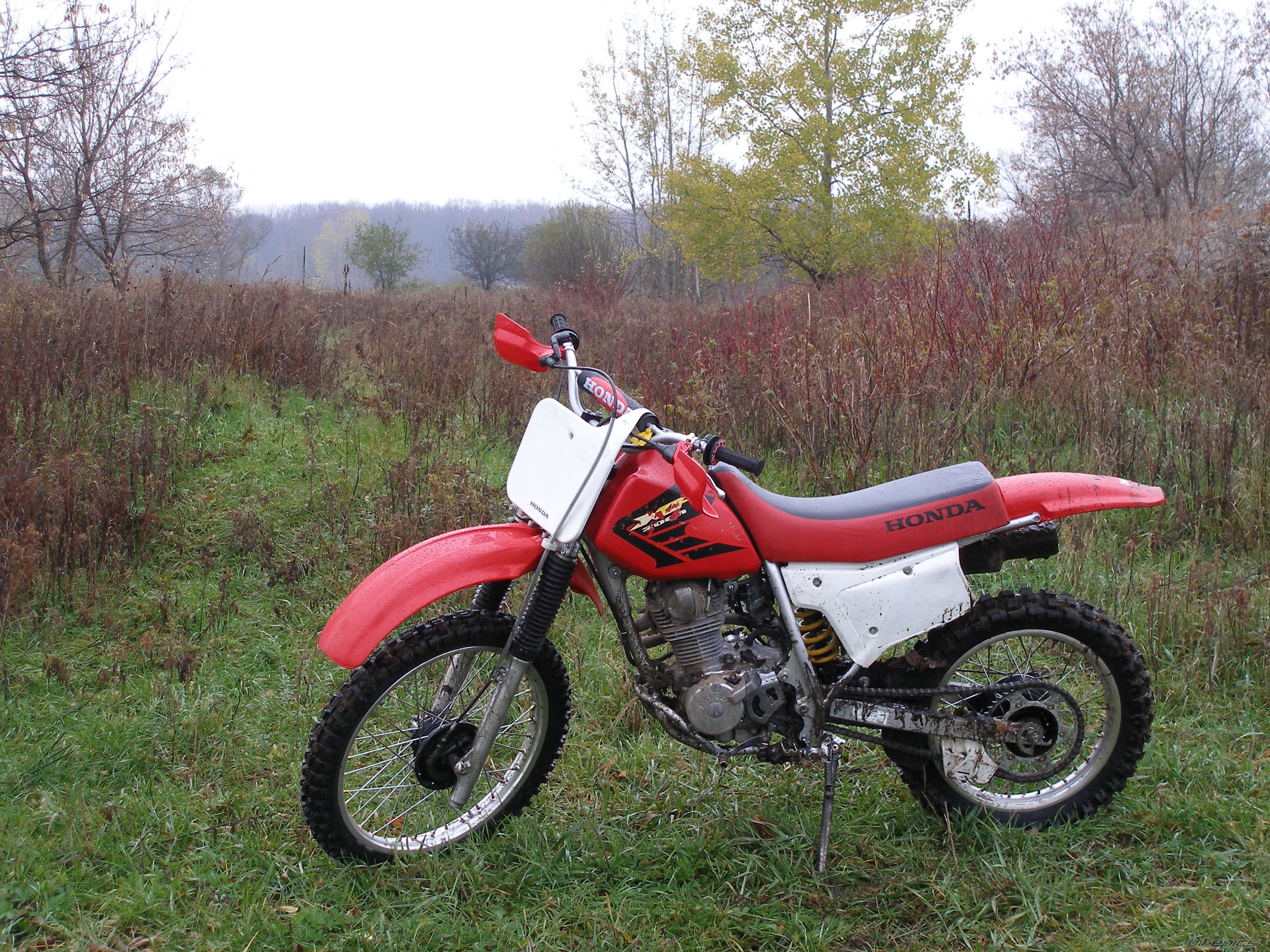 Photo 1082460
