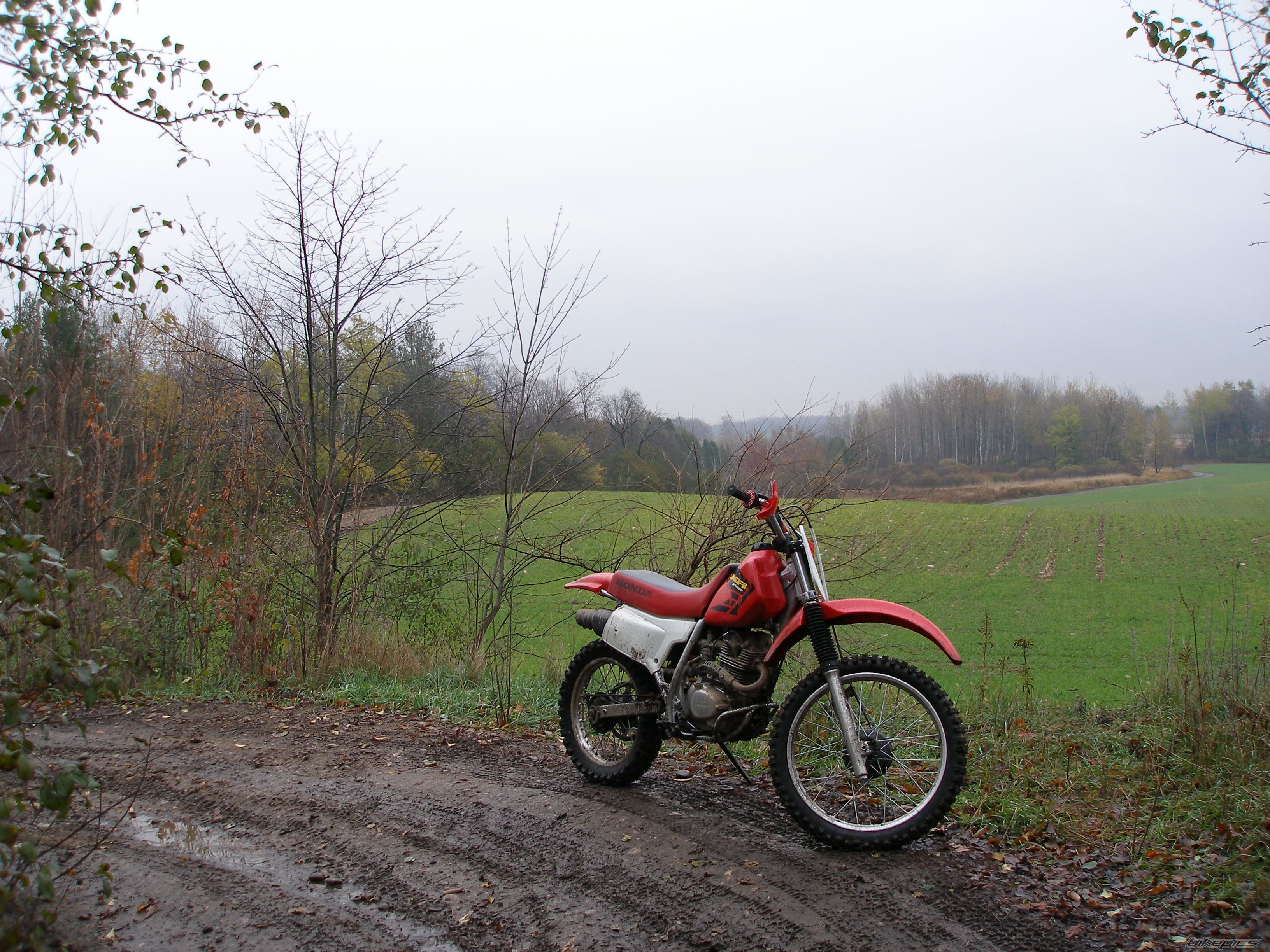 Photo 1082464
