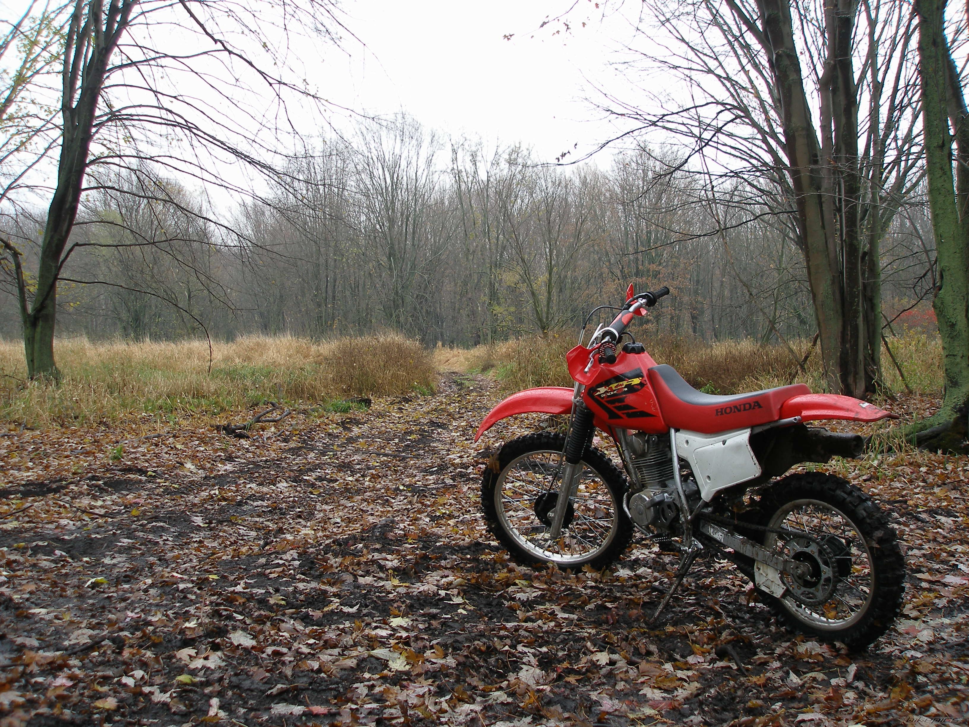 Photo 1082466