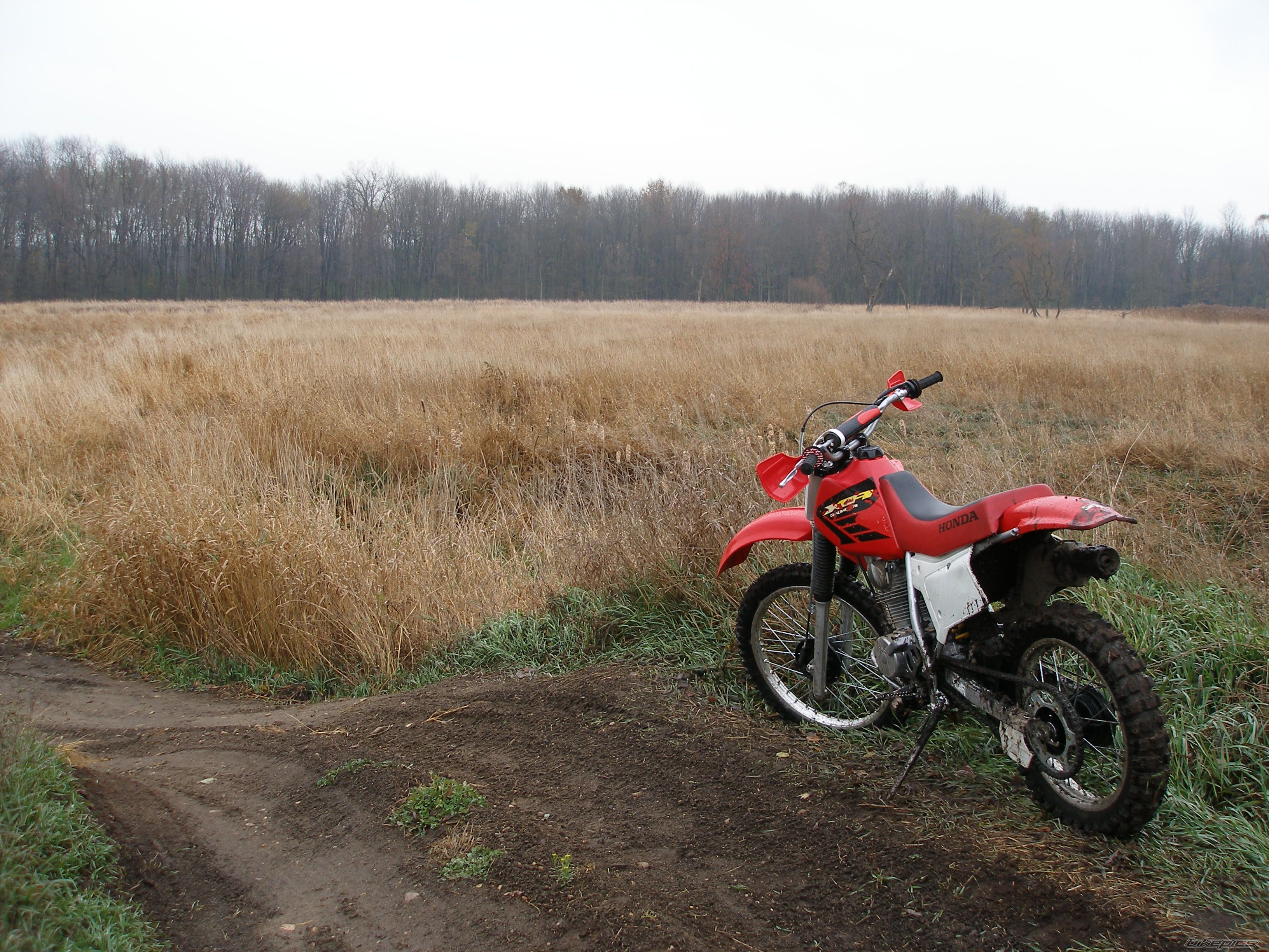 Photo 1082467