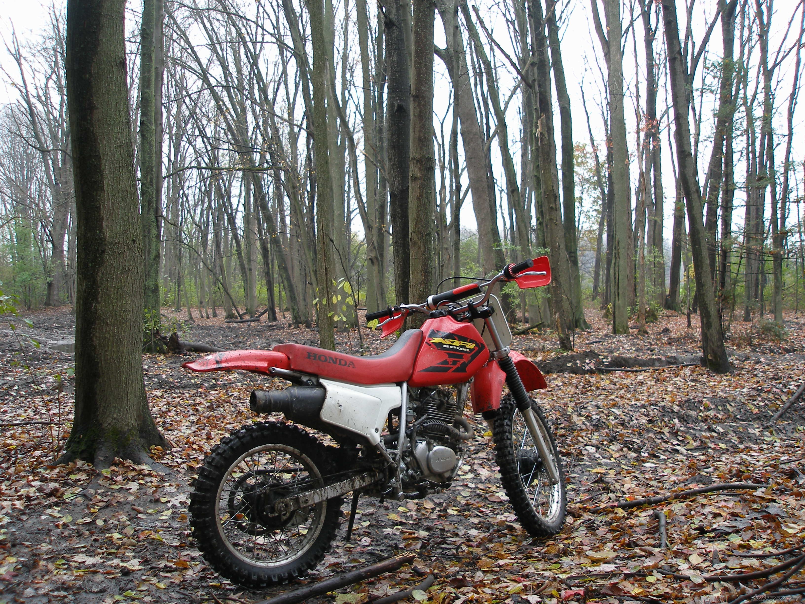 Photo 1082472