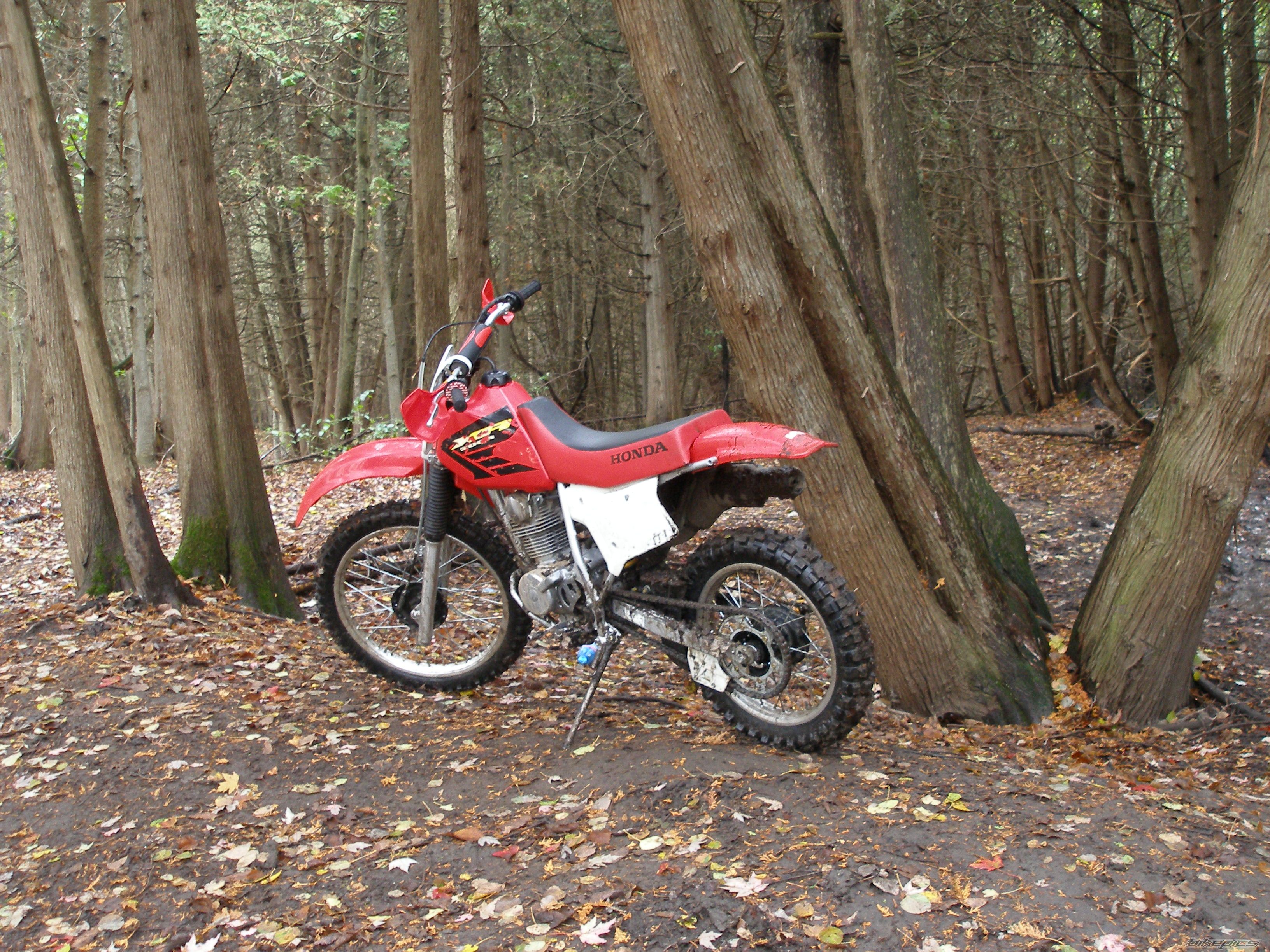 Photo 1082473
