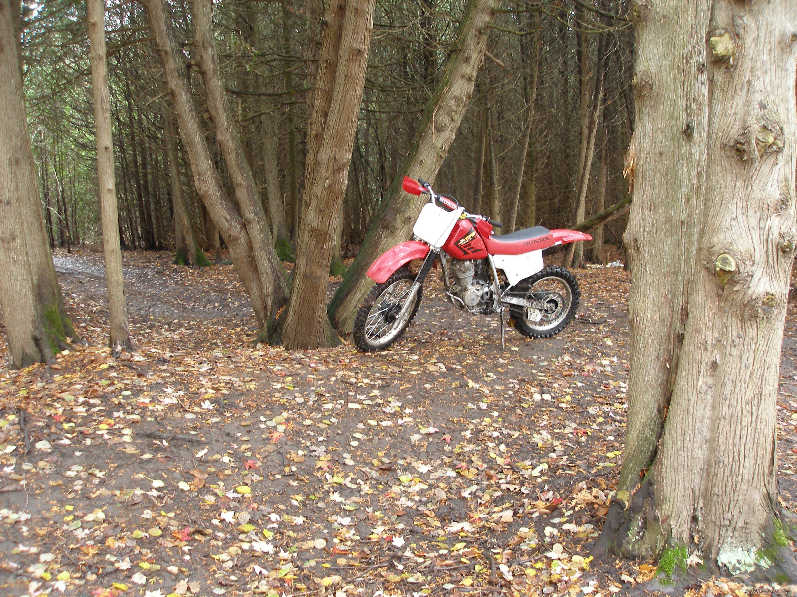 Photo 1082476