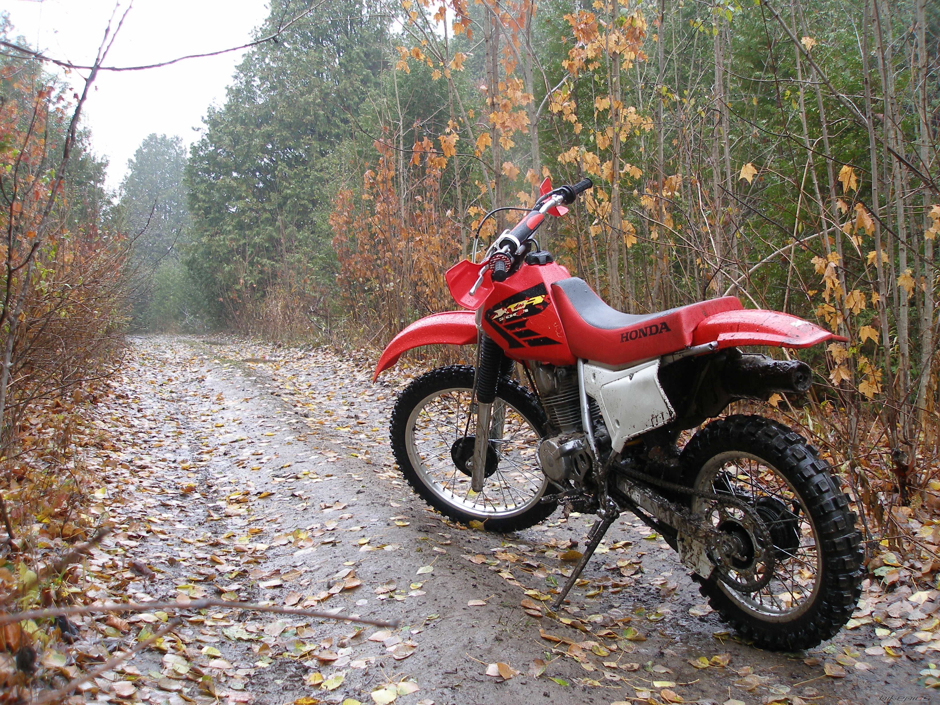 Photo 1082481