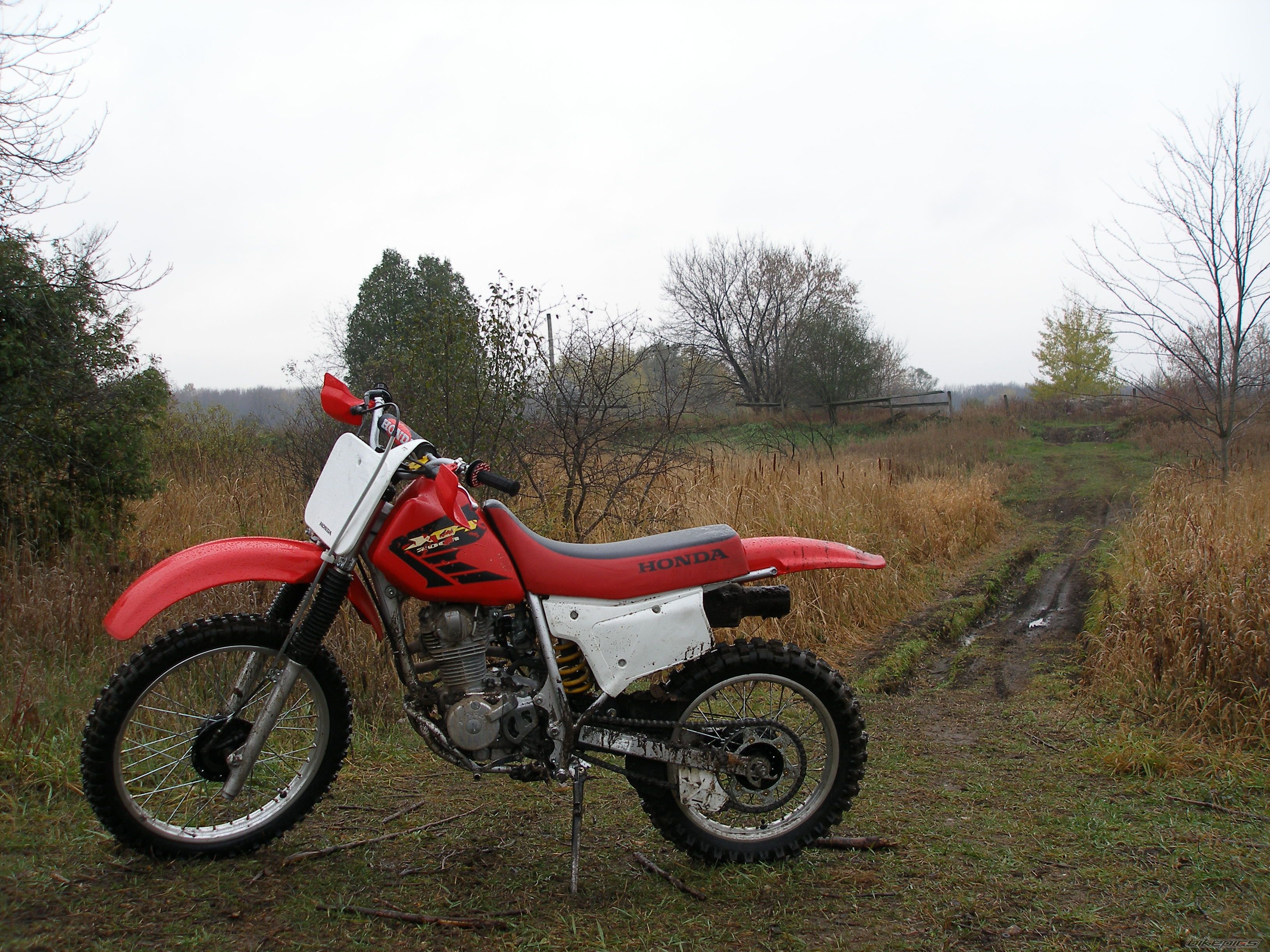 Photo 1082482