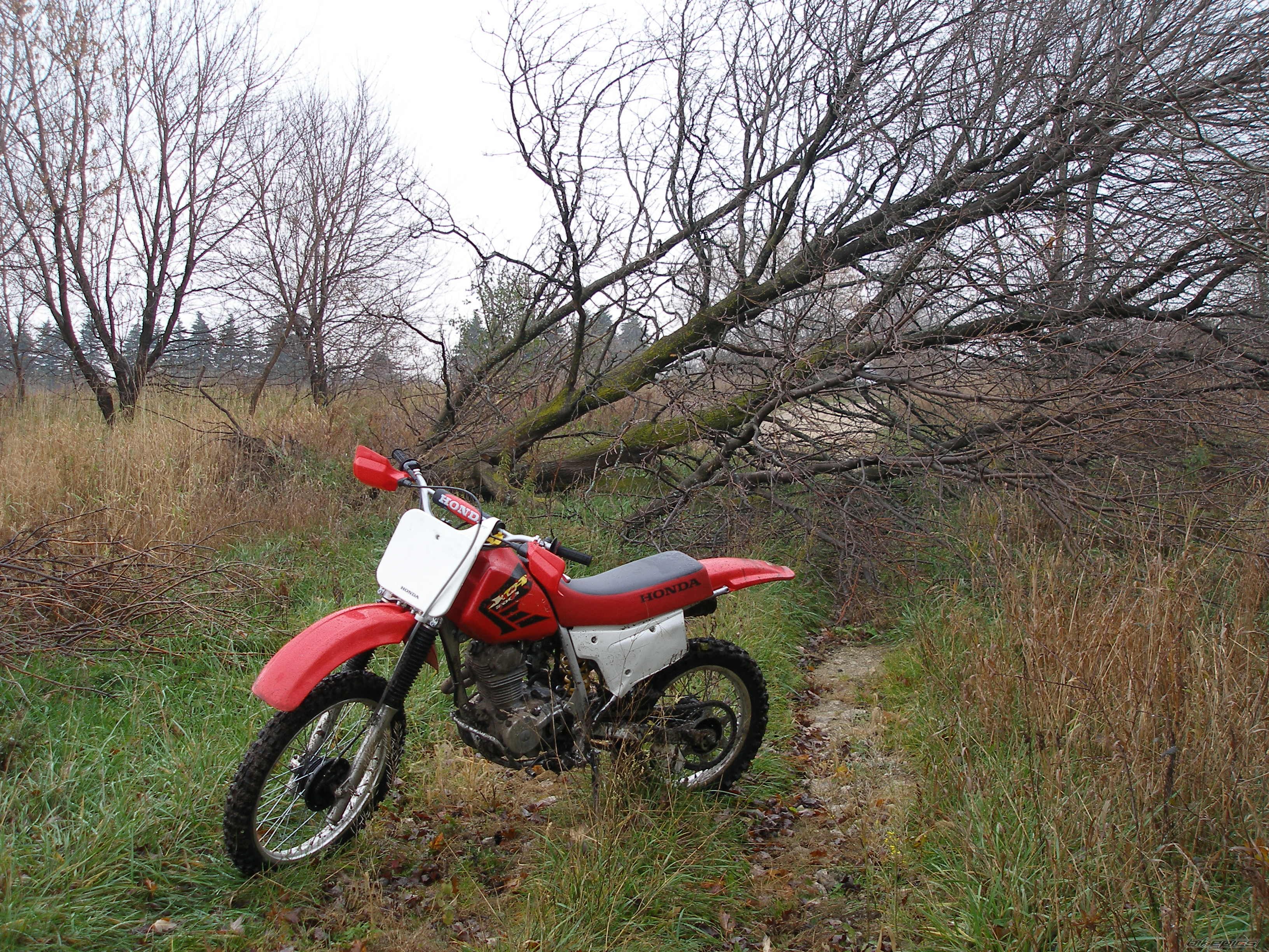 Photo 1082483