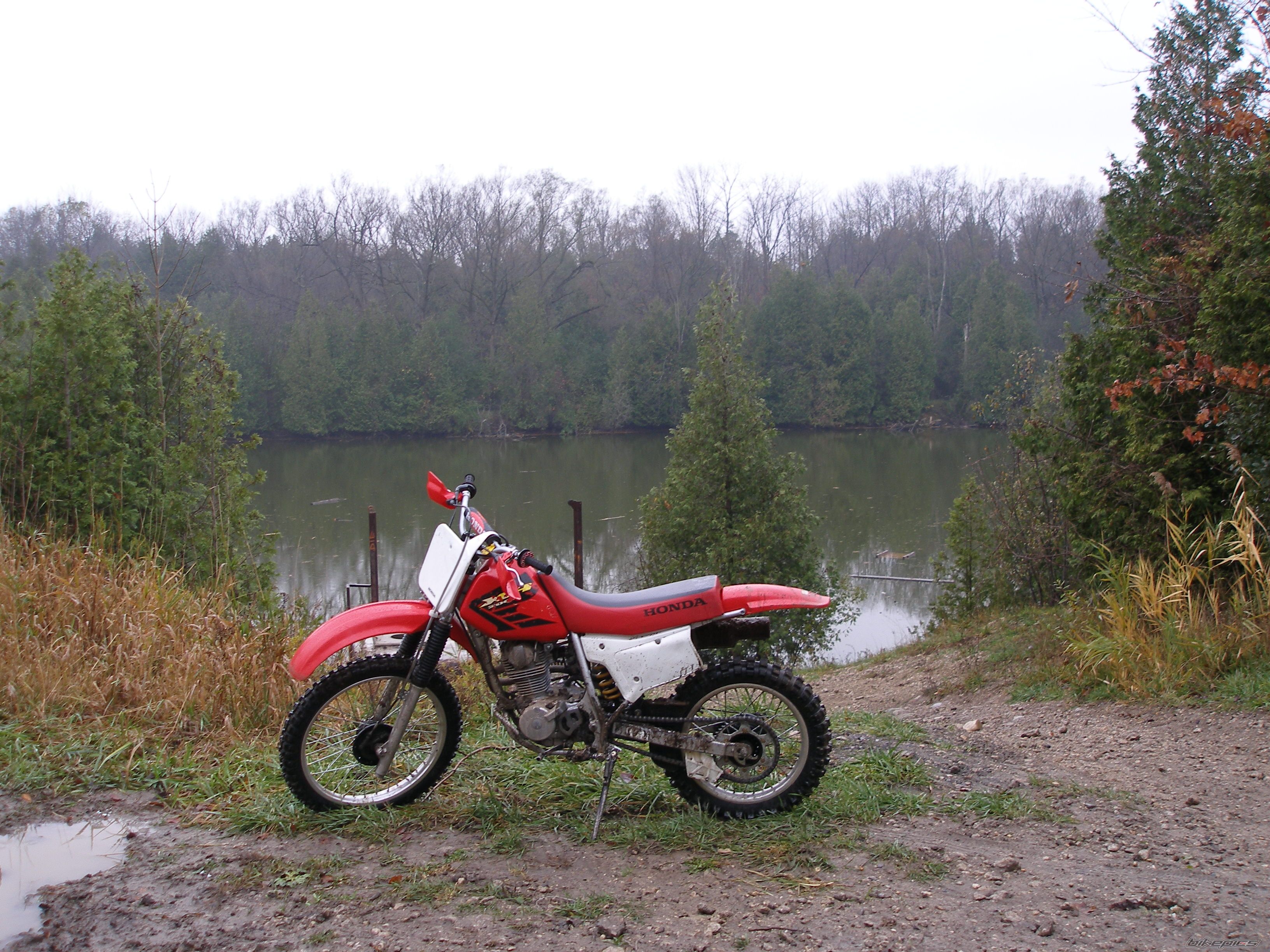 Photo 1082486