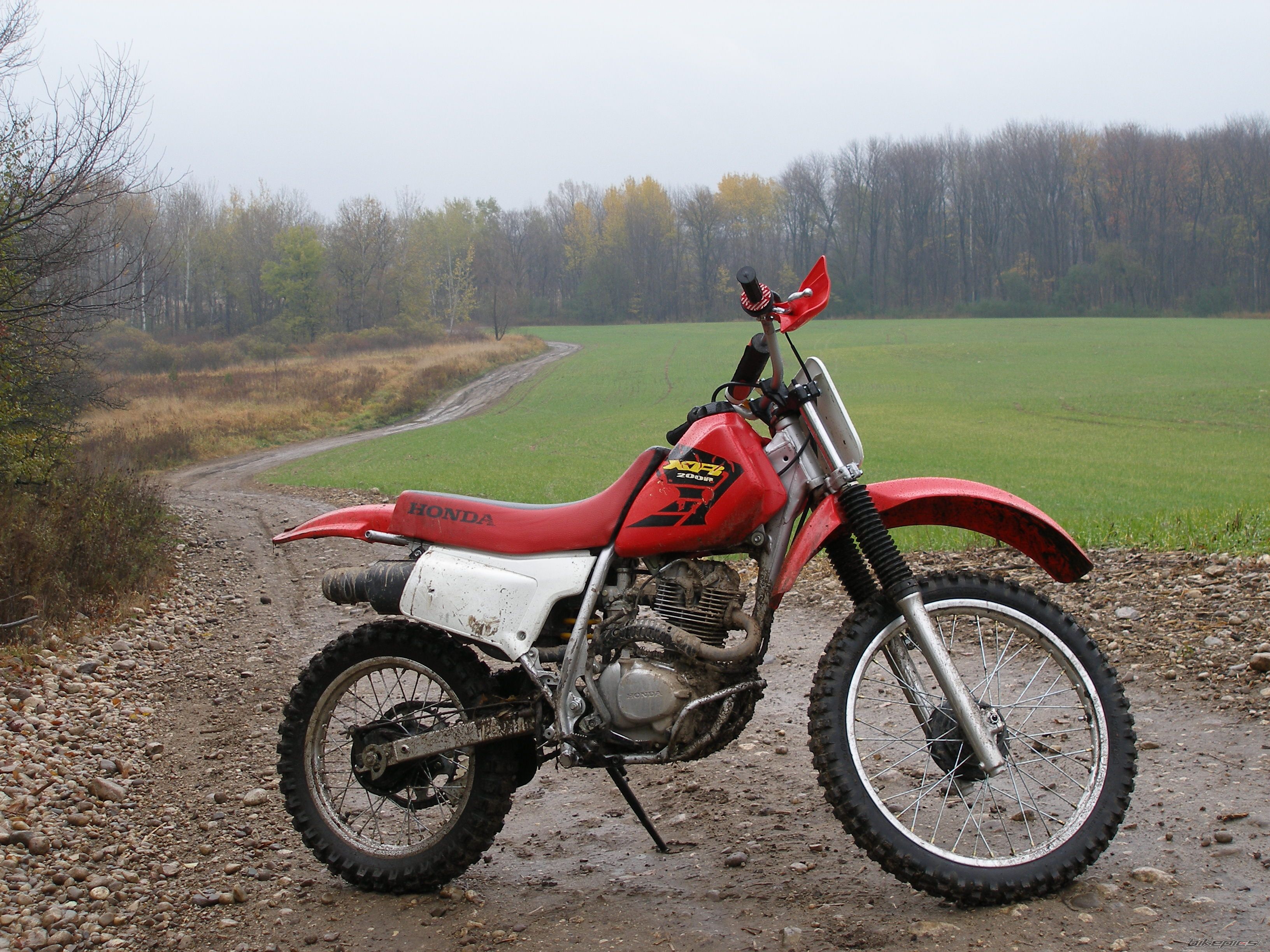 Photo 1082494