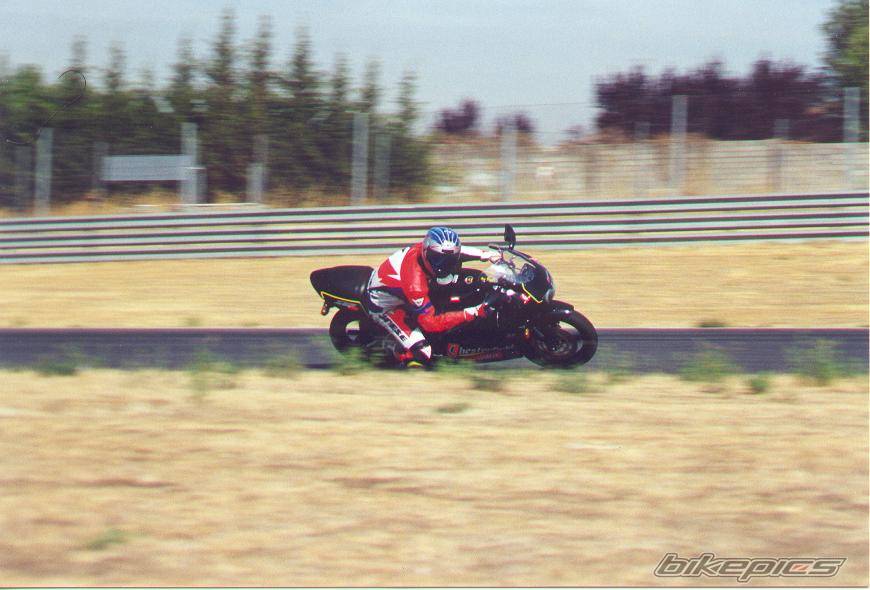 Photo 10825