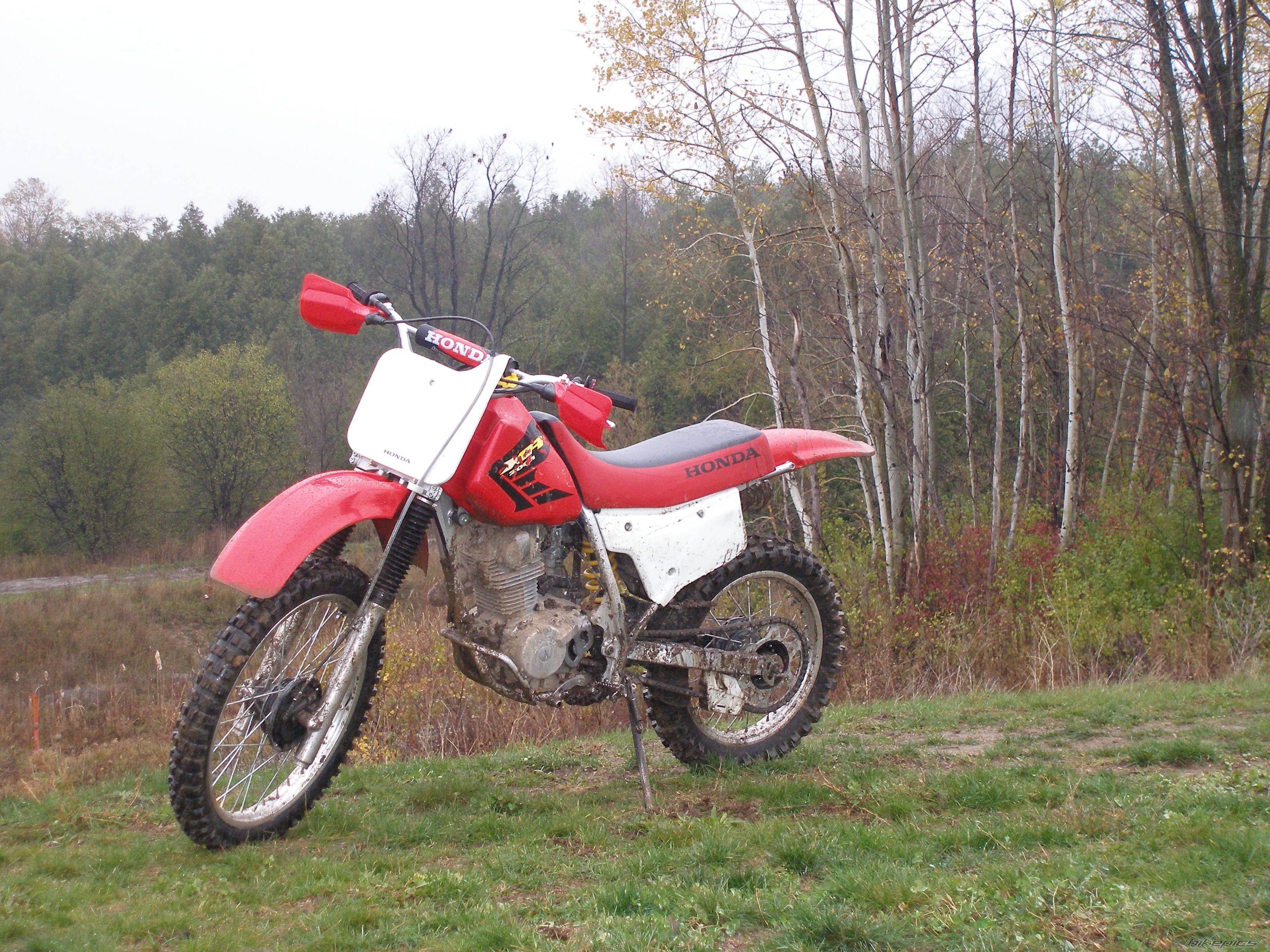Photo 1082503