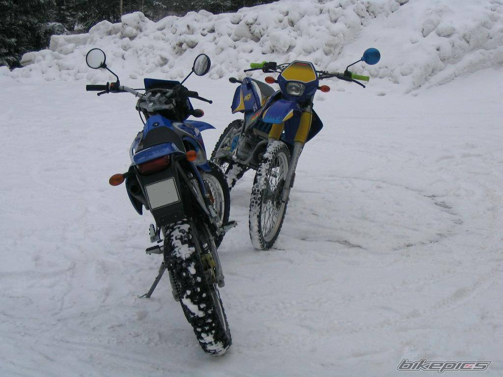 Photo 108262
