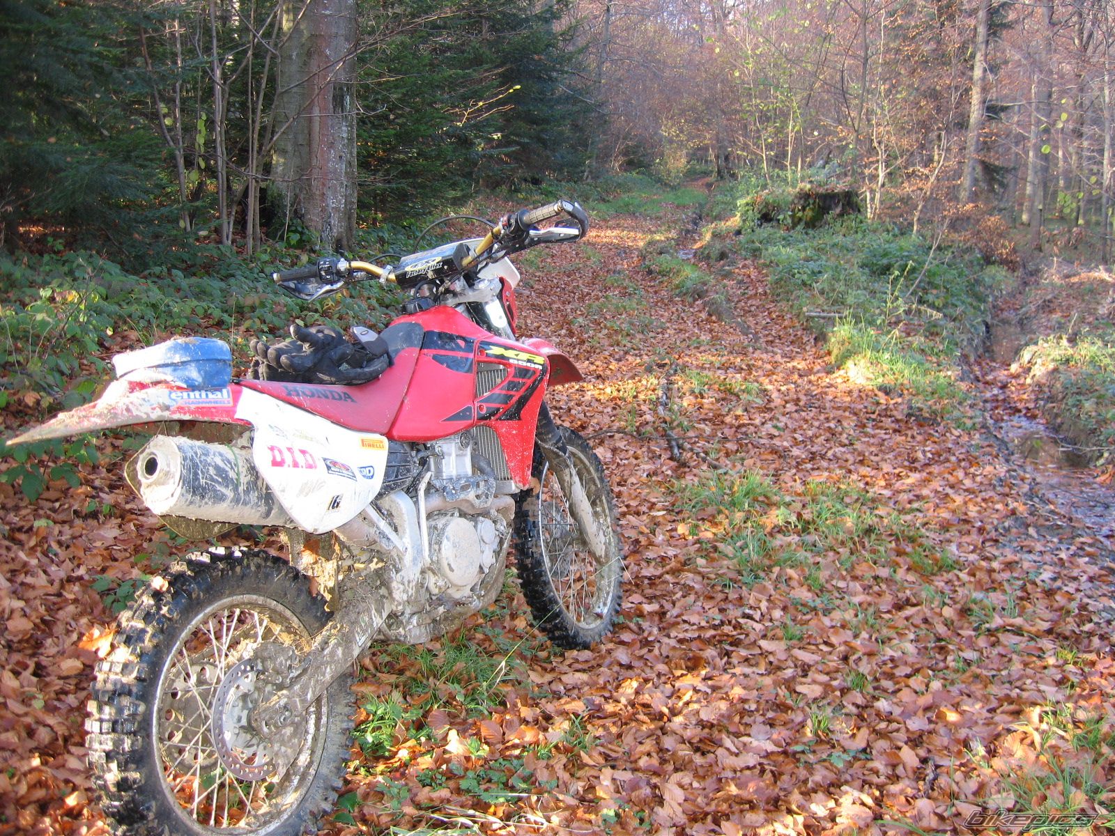 Photo 1082652