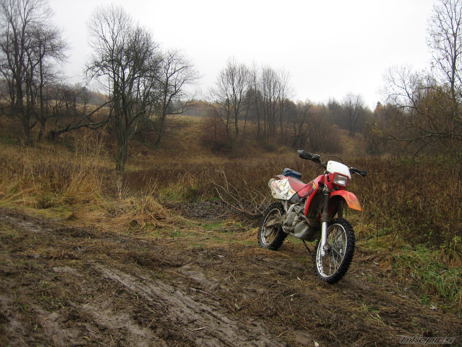 Photo 1082657