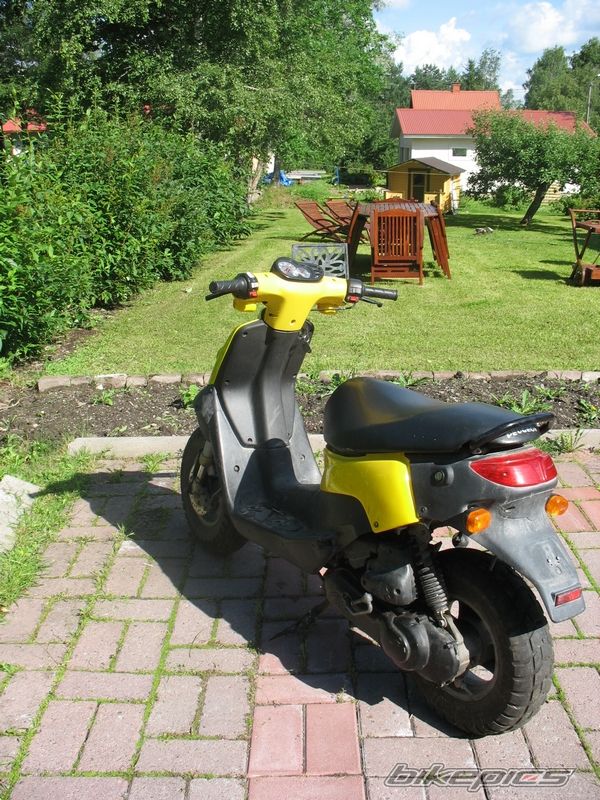 Photo 1082923