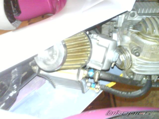 Photo 1082984
