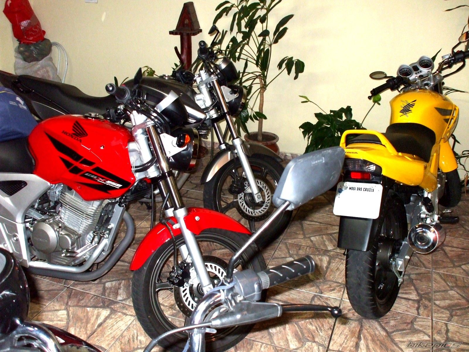 Photo 1083083