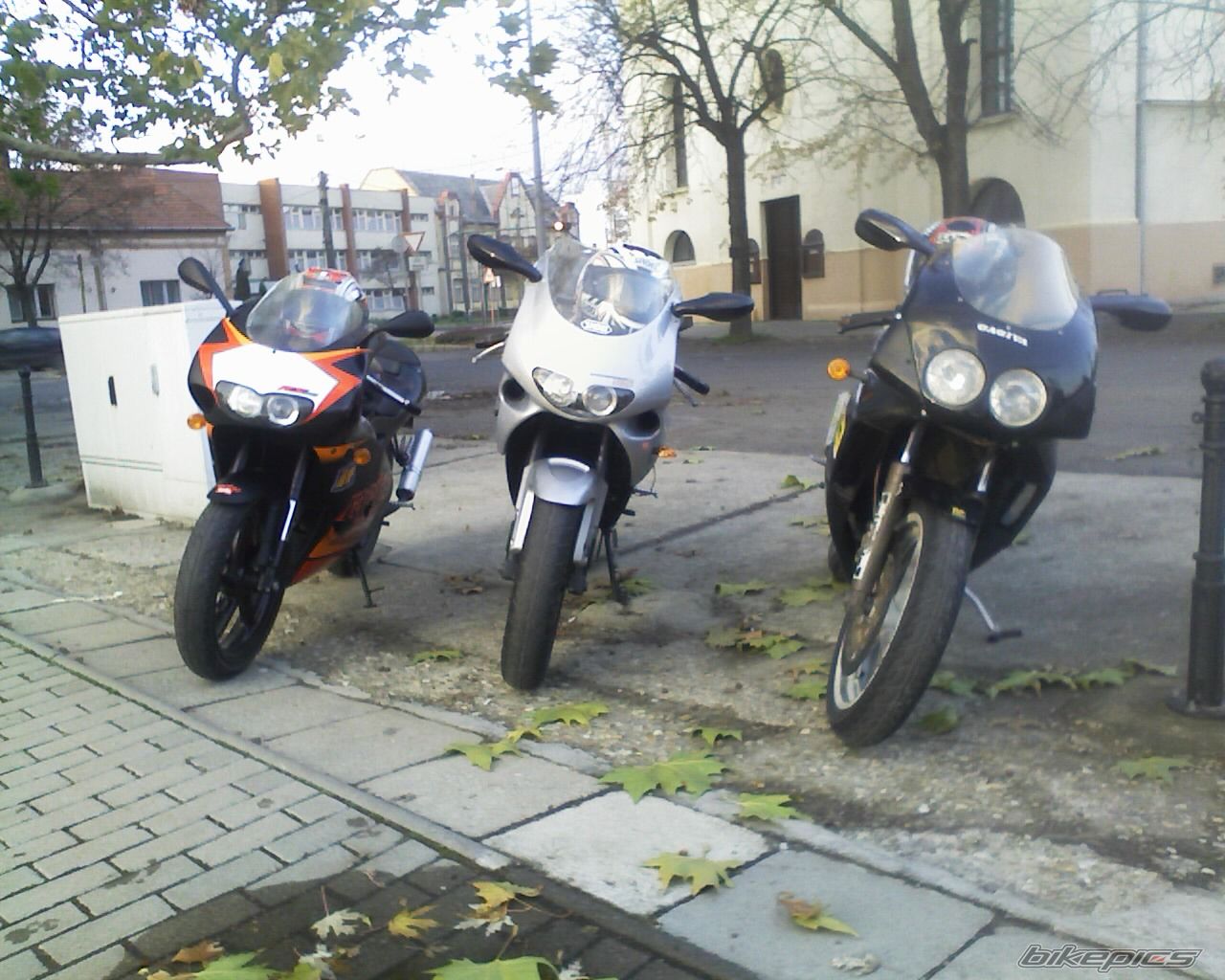 Photo 1083142