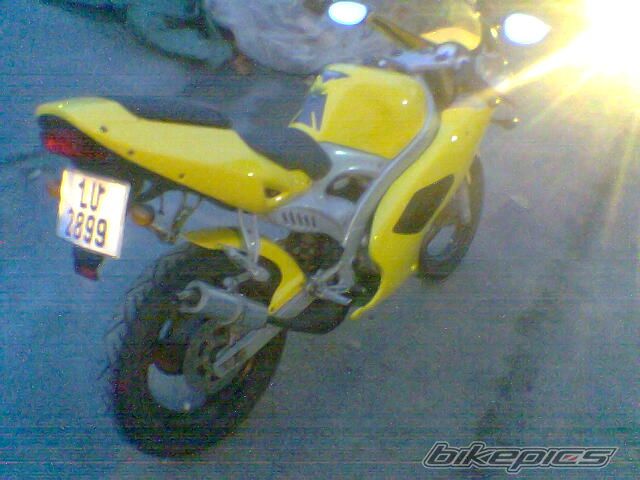 Photo 1083211