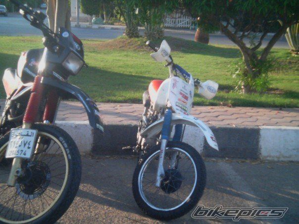 Photo 1083242