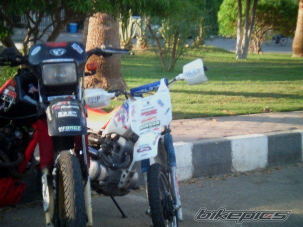 Photo 1083247
