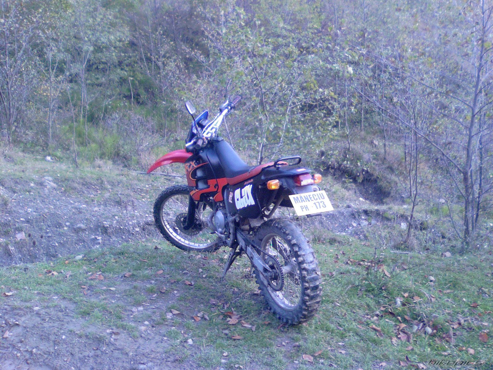 Bike Photo 1083668