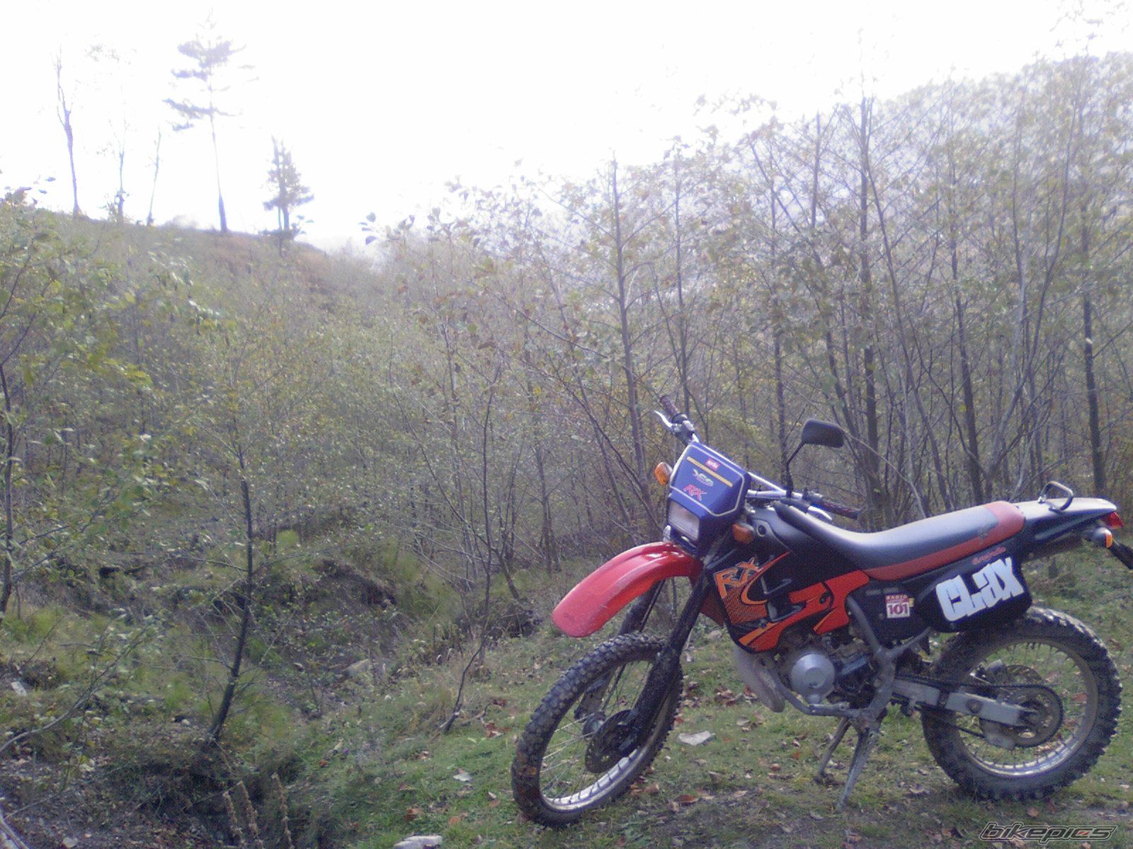 Photo 1083670