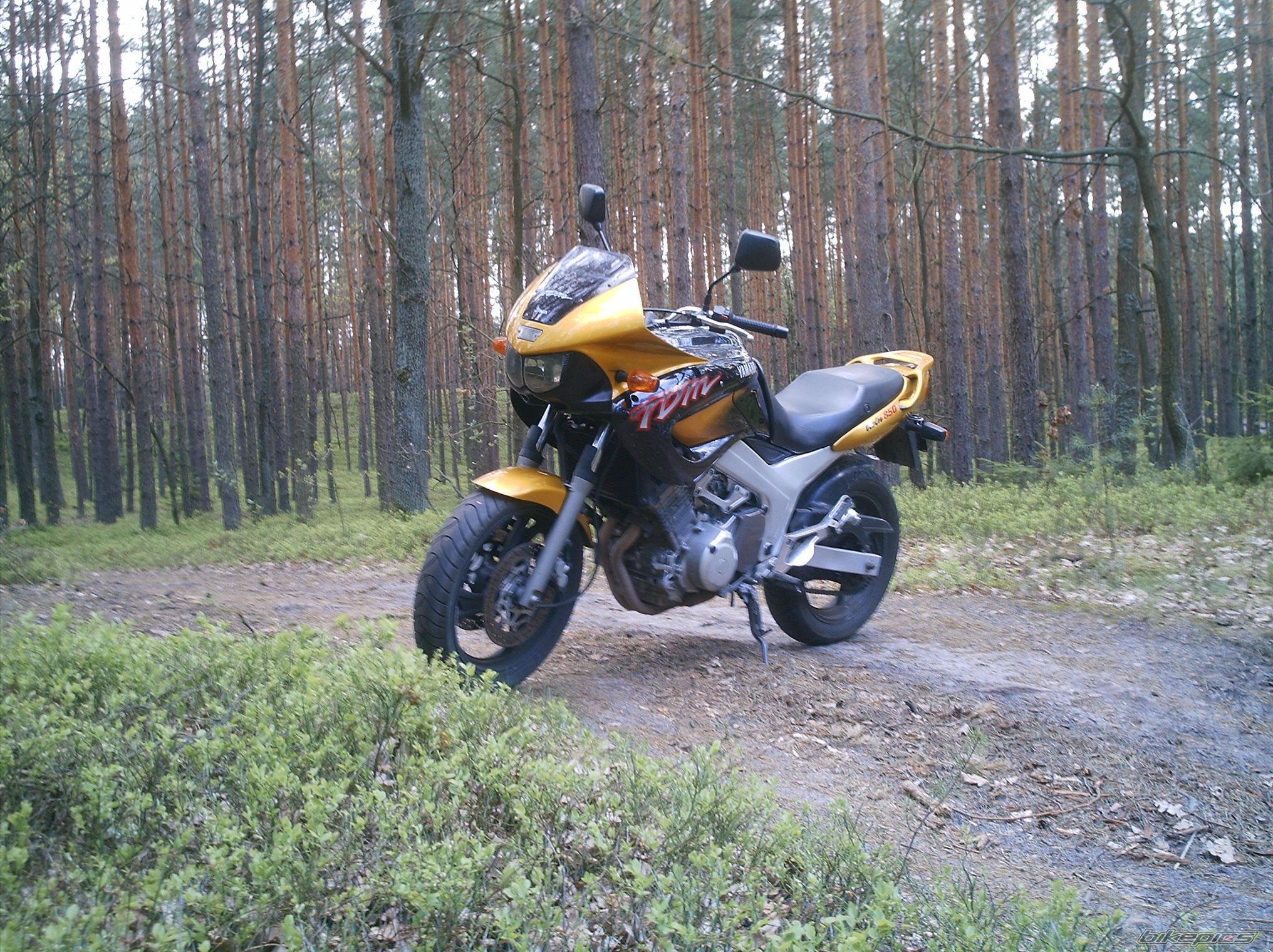 Photo 1083732
