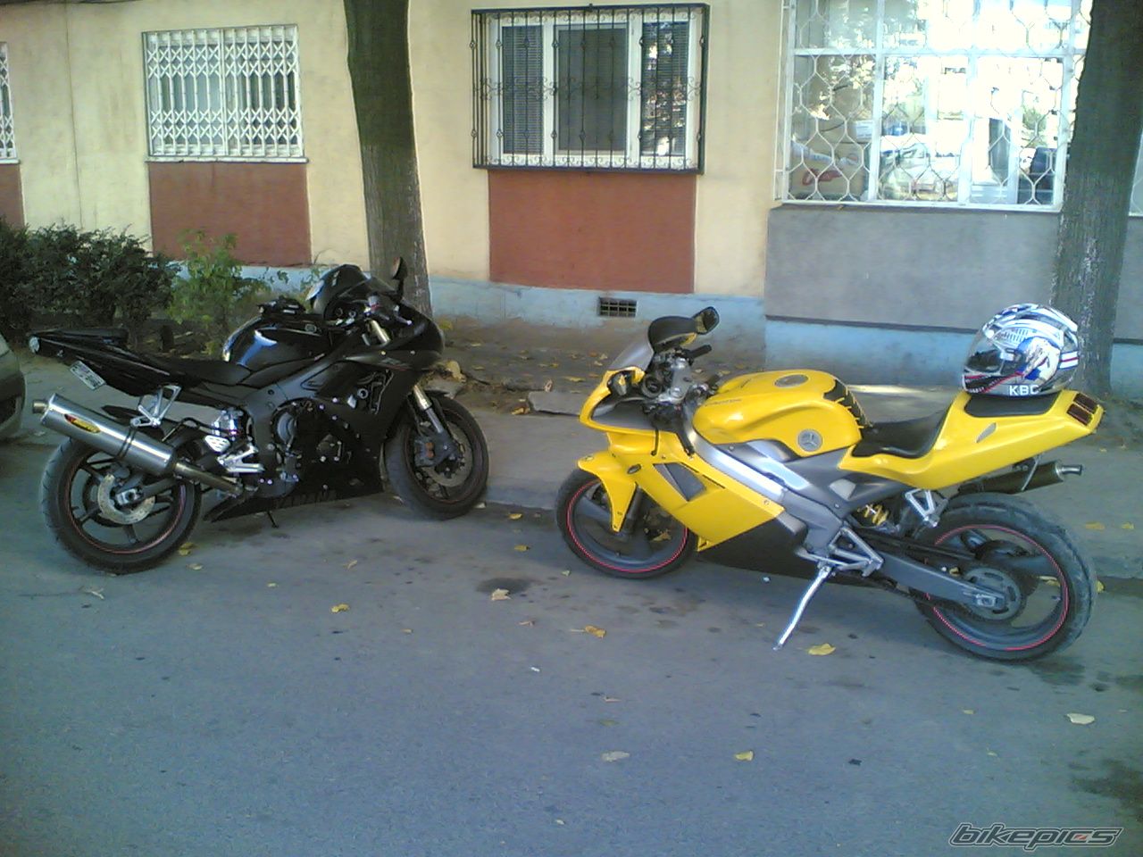 Photo 1083800