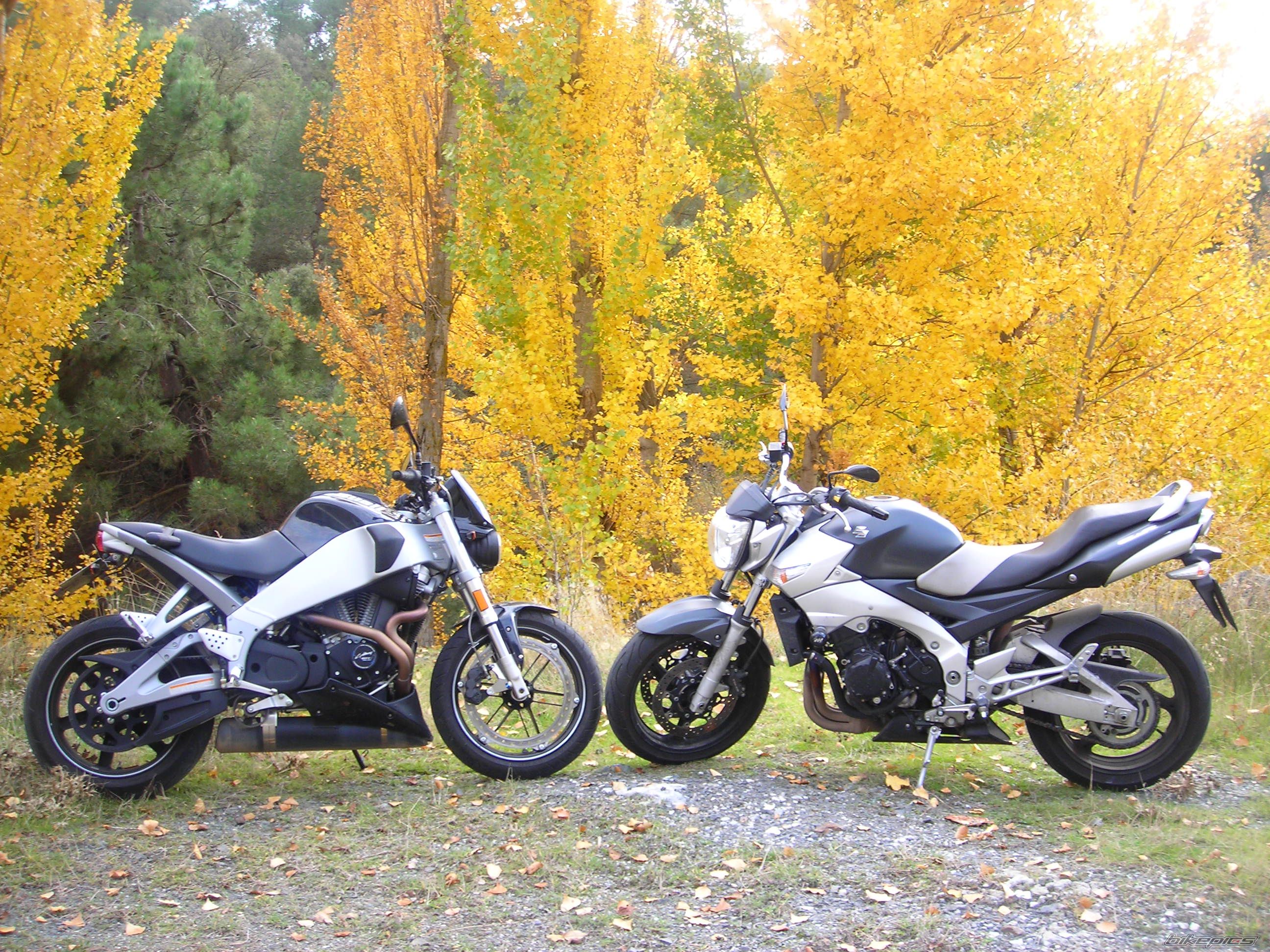 Photo 1083838