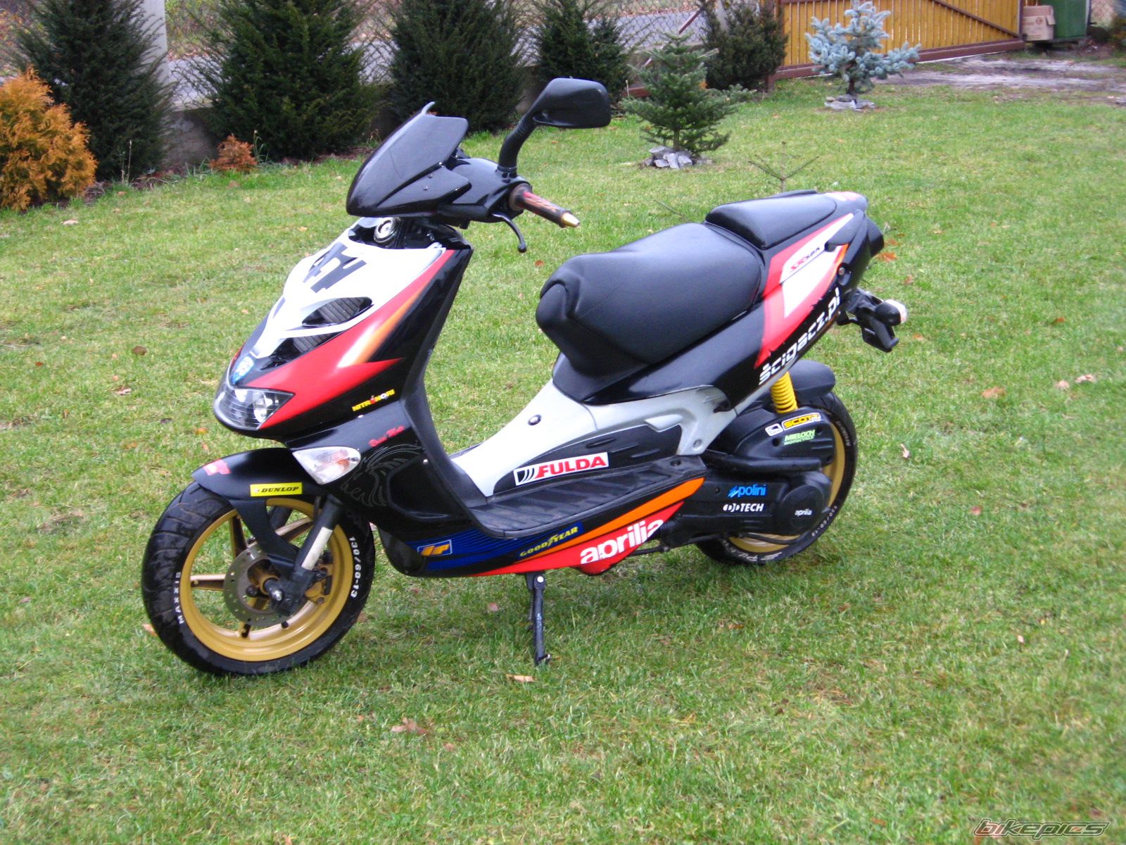 Photo 1083920