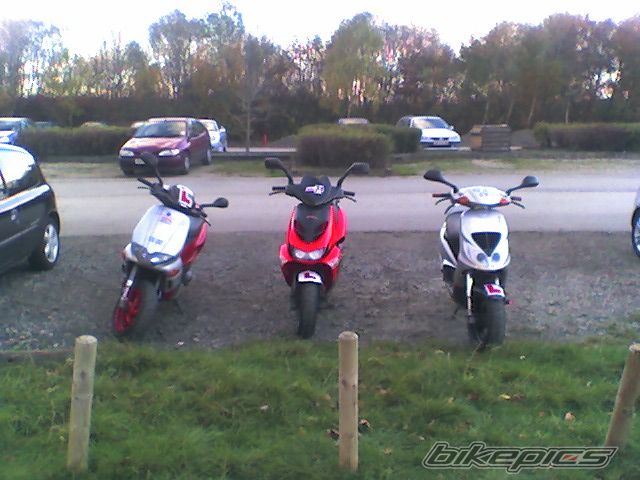 Photo 1084209