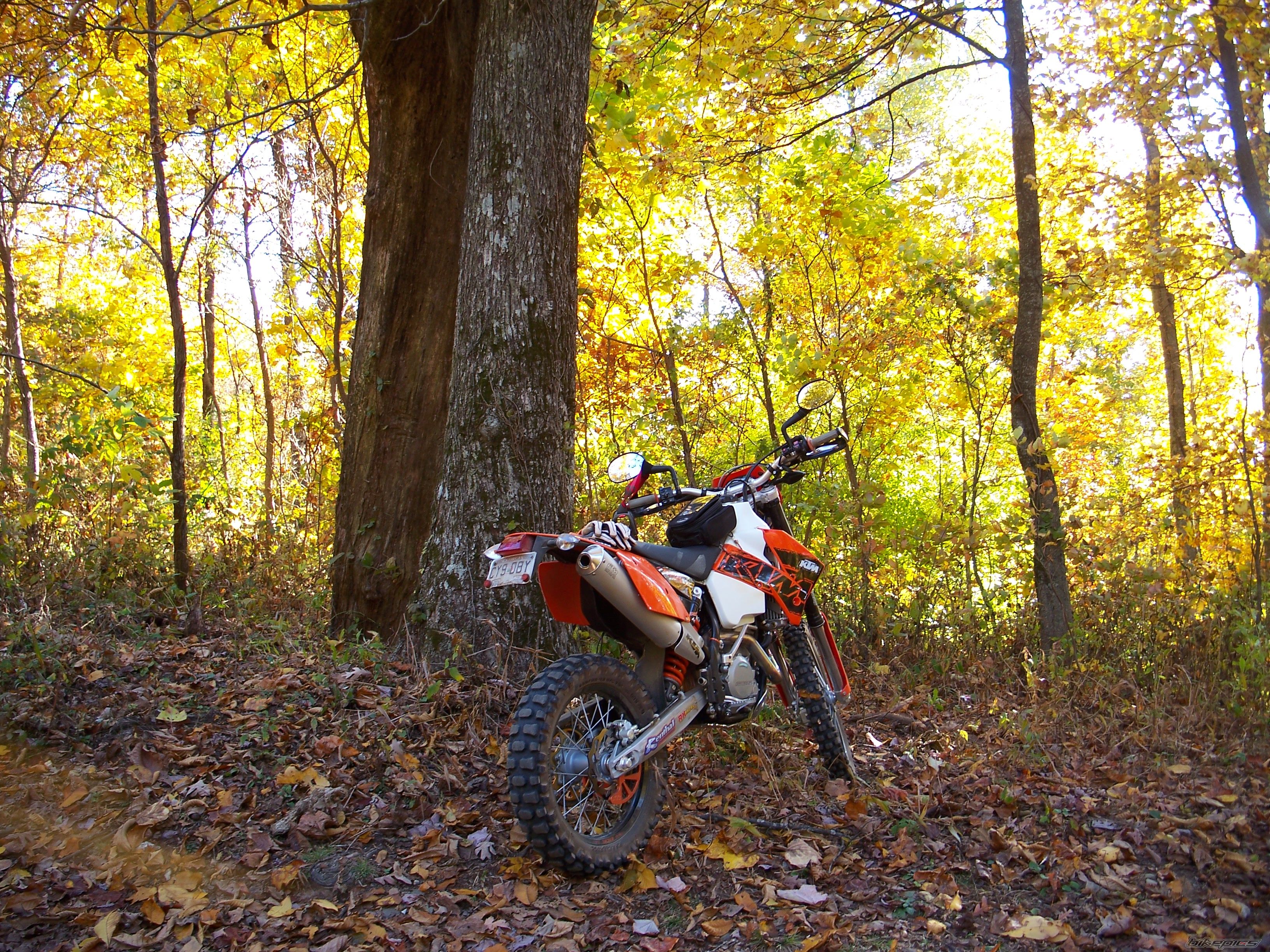 Bike Photo 1084293