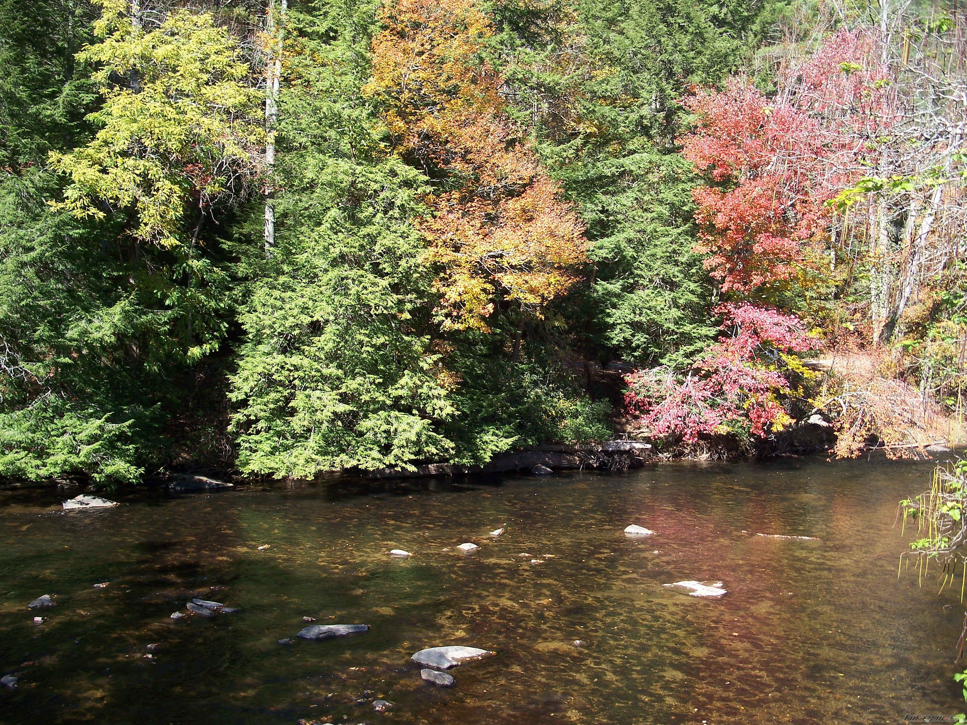 Photo 1084315