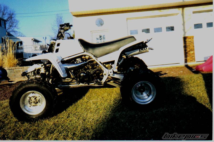 Photo 108437