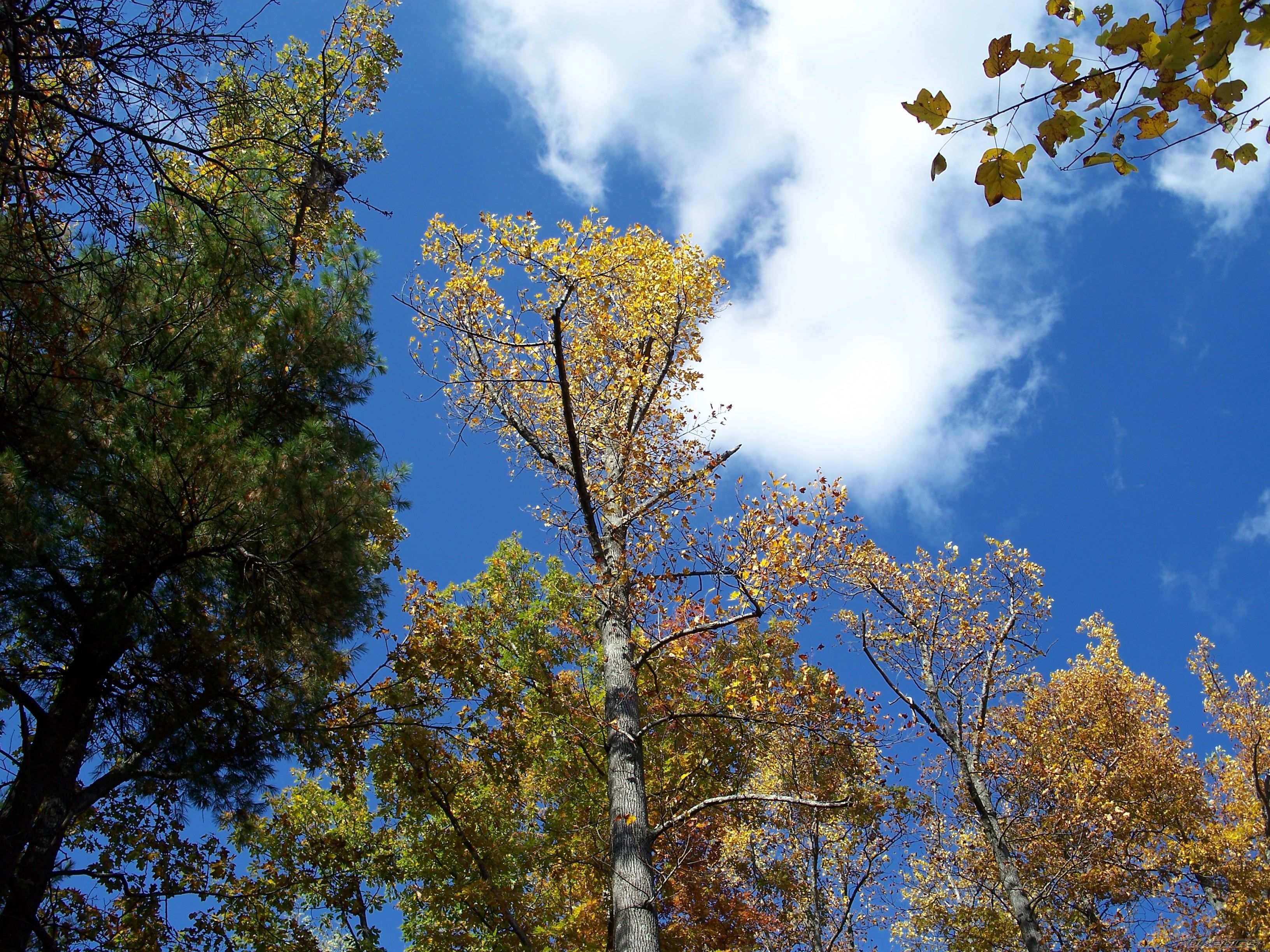 Photo 1084435