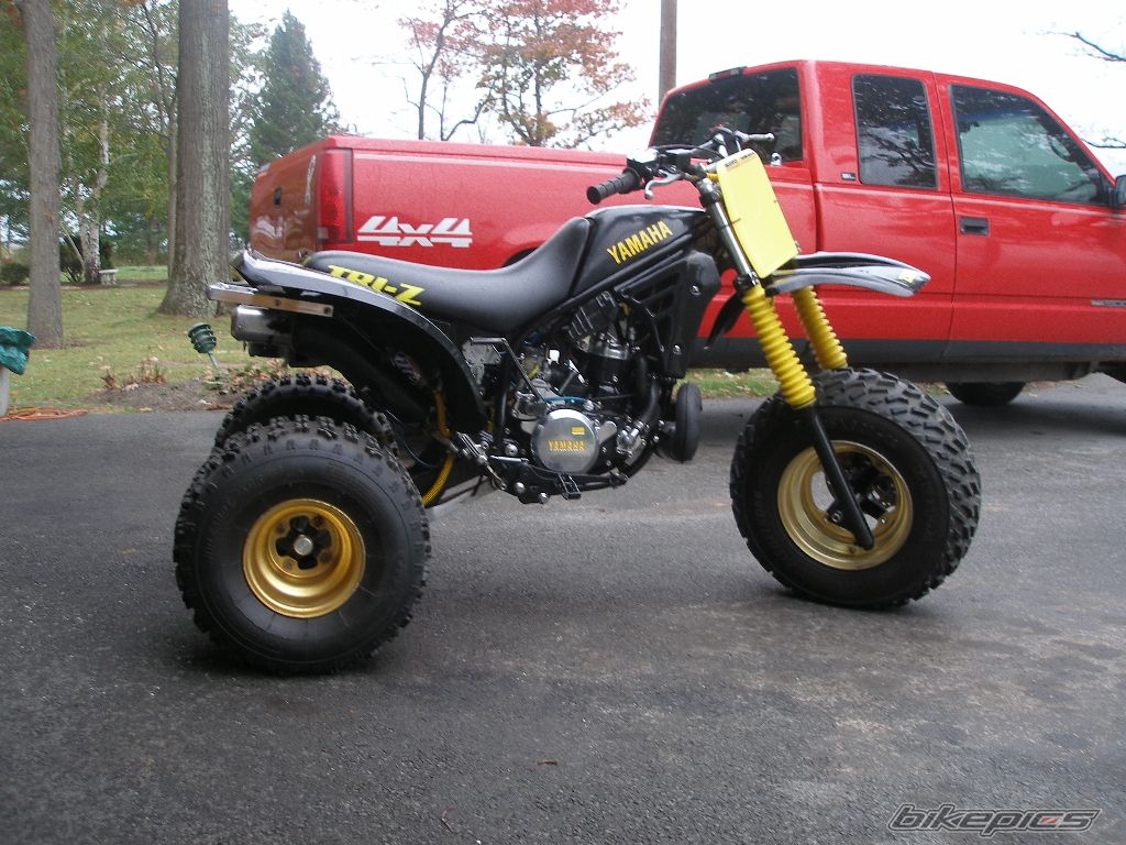 Photo 1084483