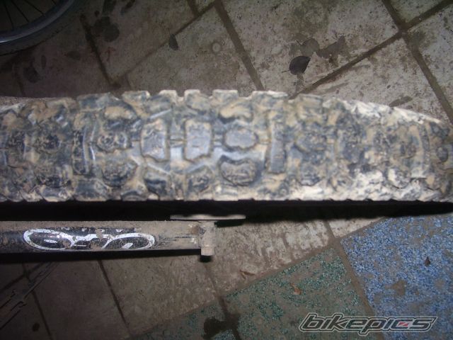 Photo 1084548