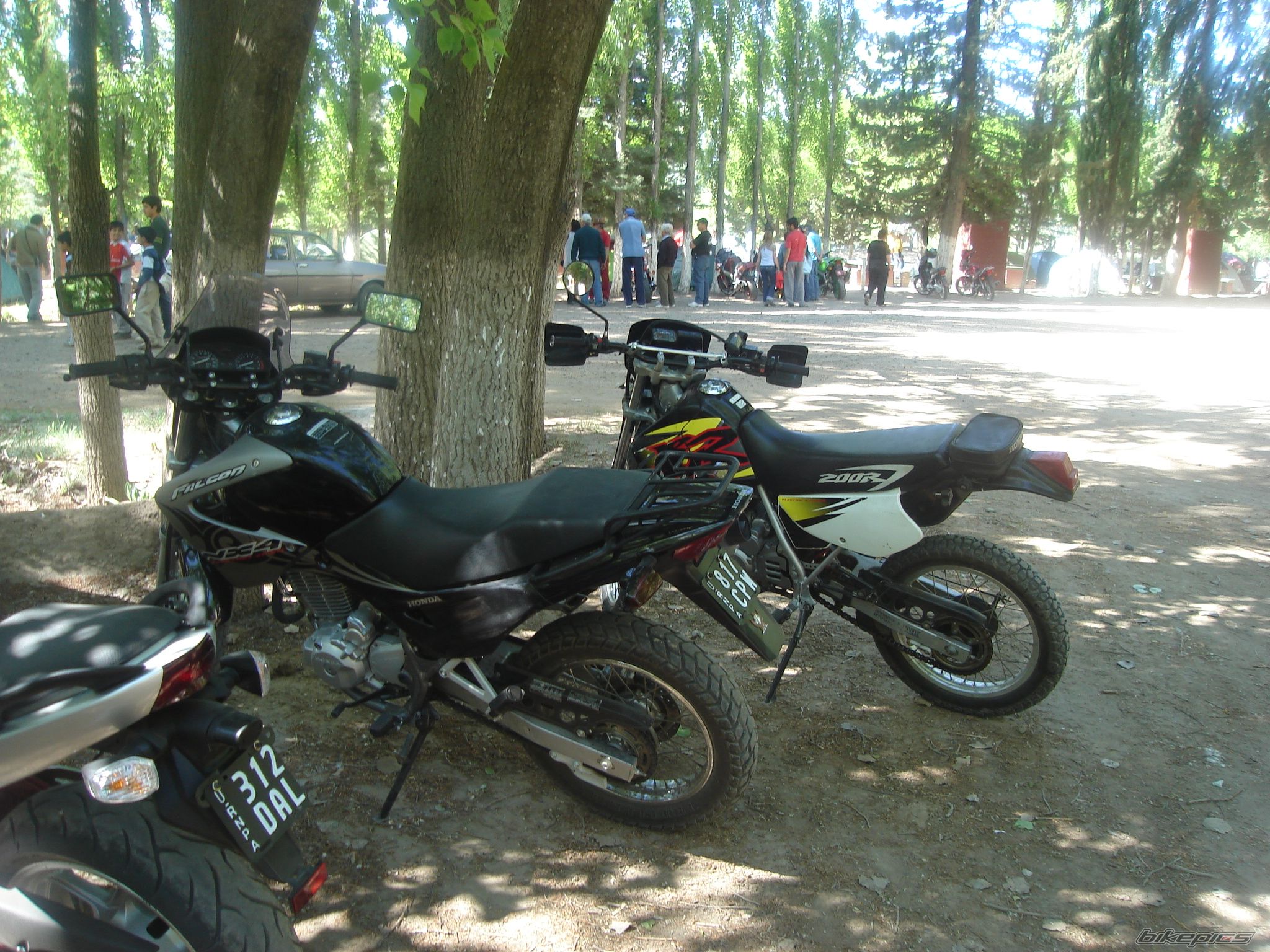 Photo 1084837