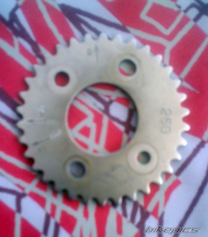 Photo 1085386